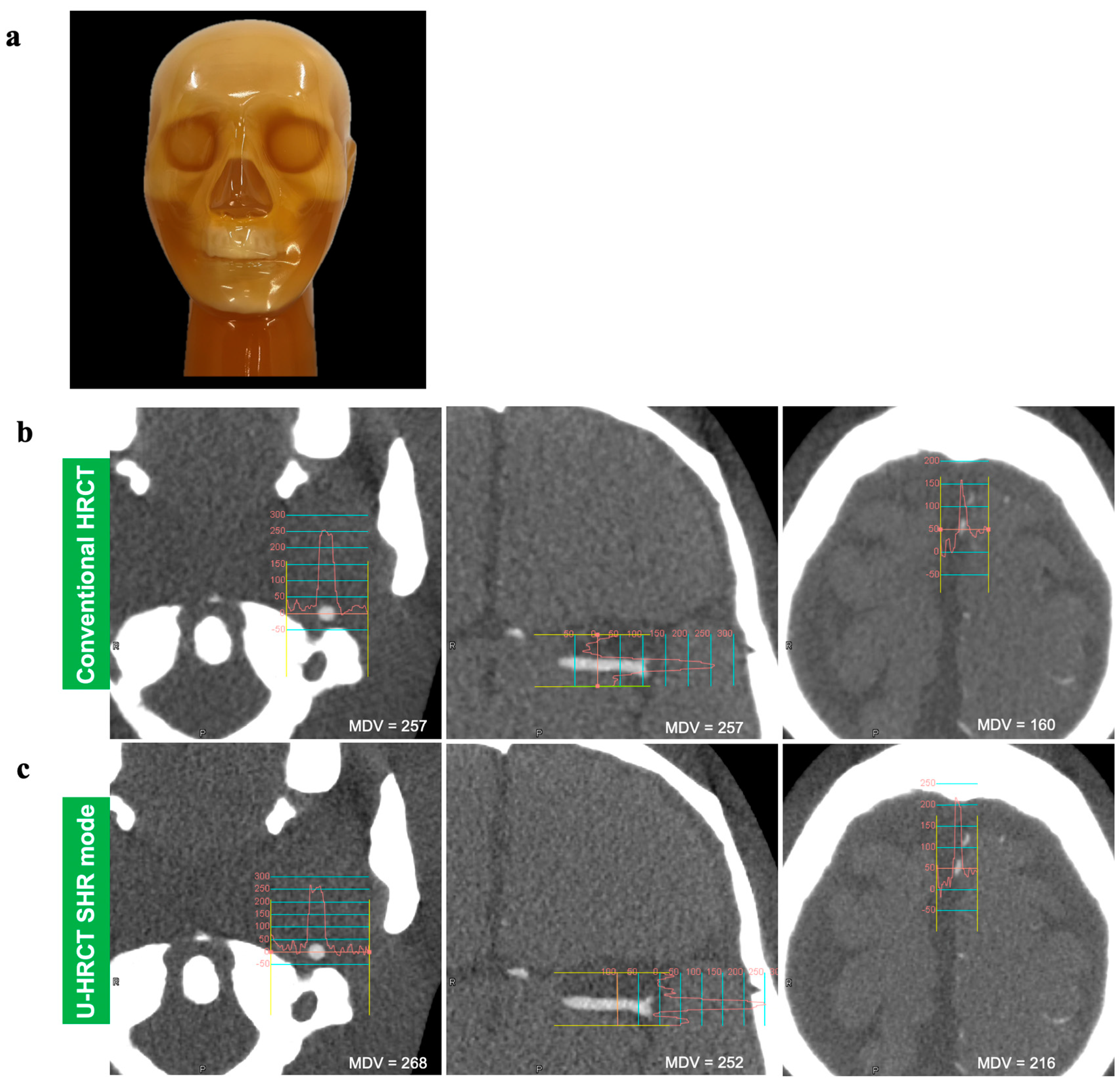 Cancers 16 03866 g001