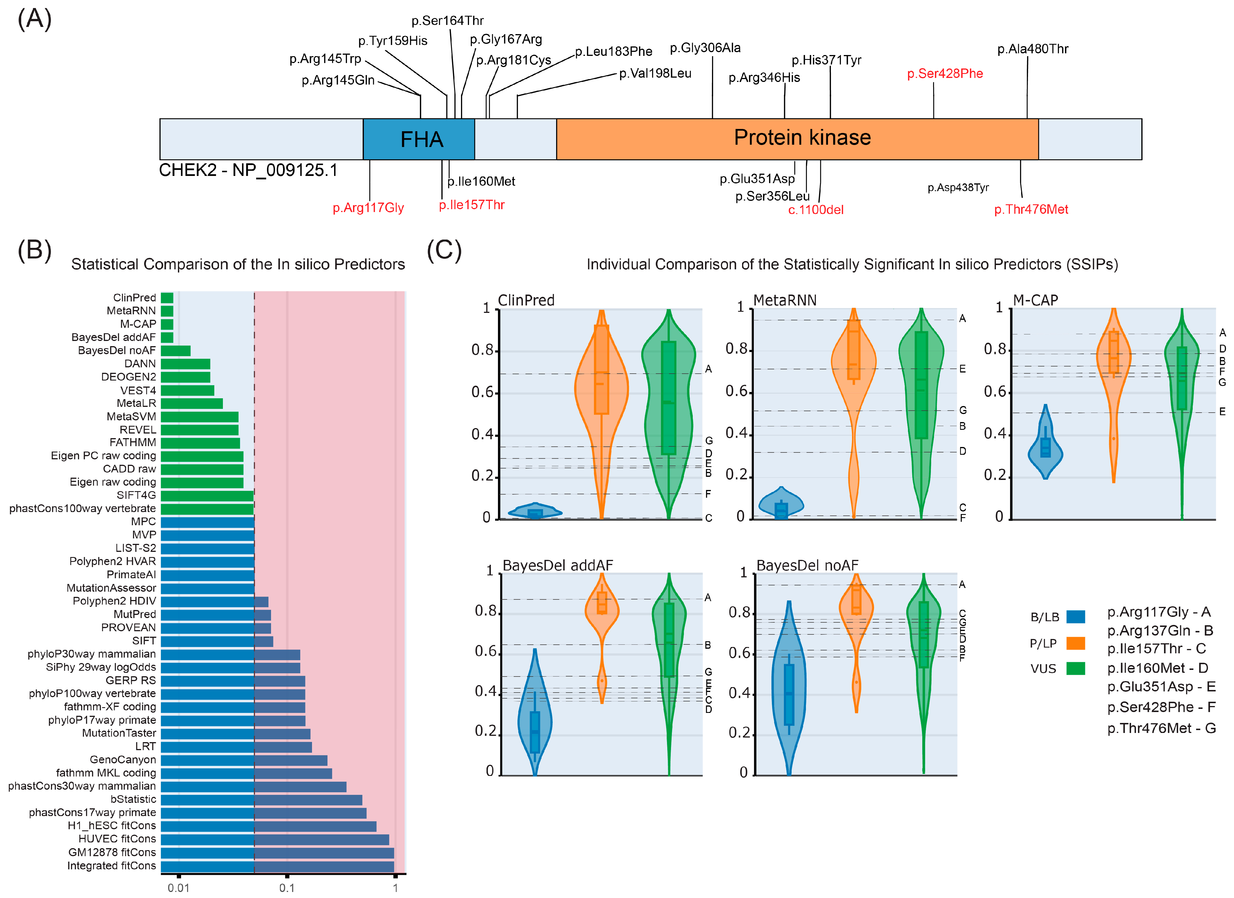 Cancers 16 03876 g002