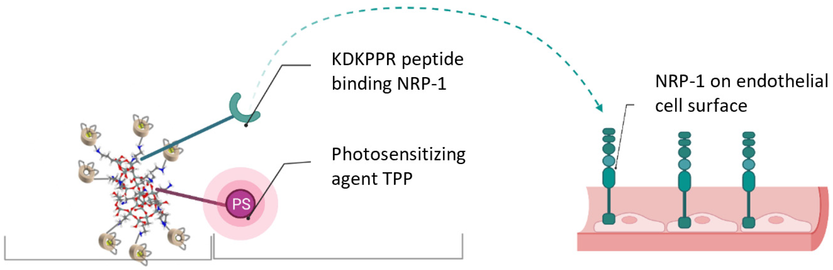 Cancers 16 03924 g001 Cancers 16 03924 g001