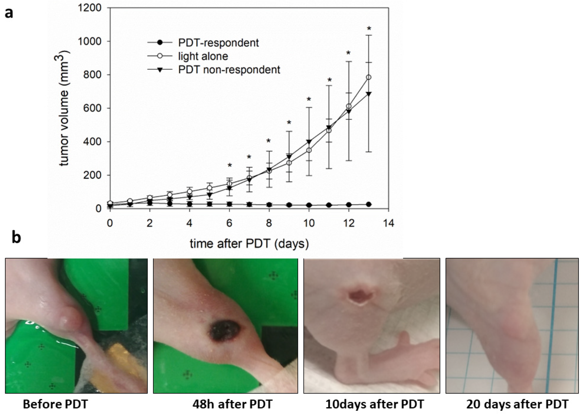 Cancers 16 03924 g006 Cancers 16 03924 g006