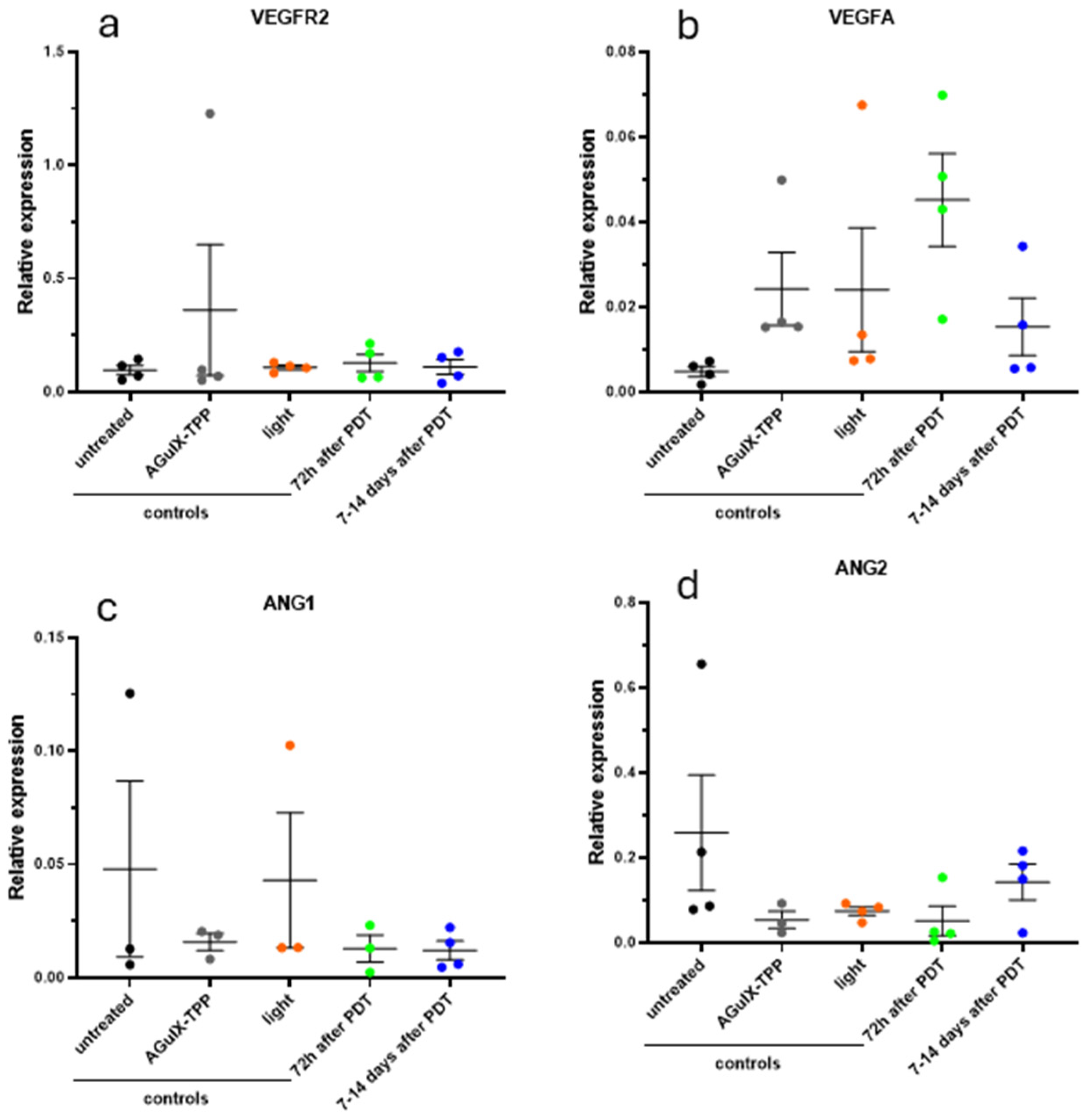 Cancers 16 03924 g008 Cancers 16 03924 g008