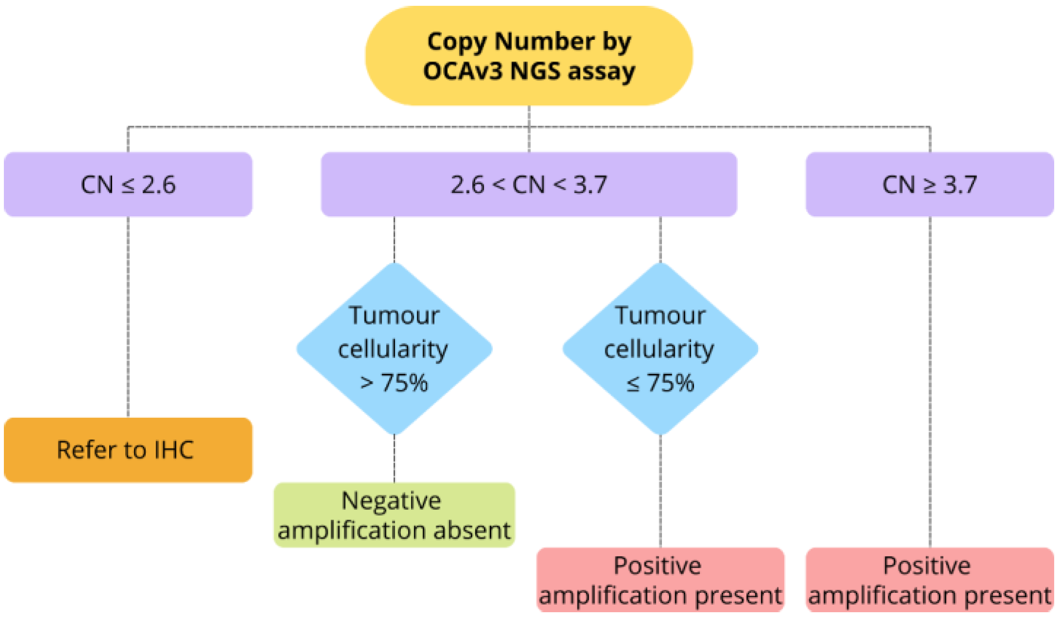 Cancers 16 03927 g002