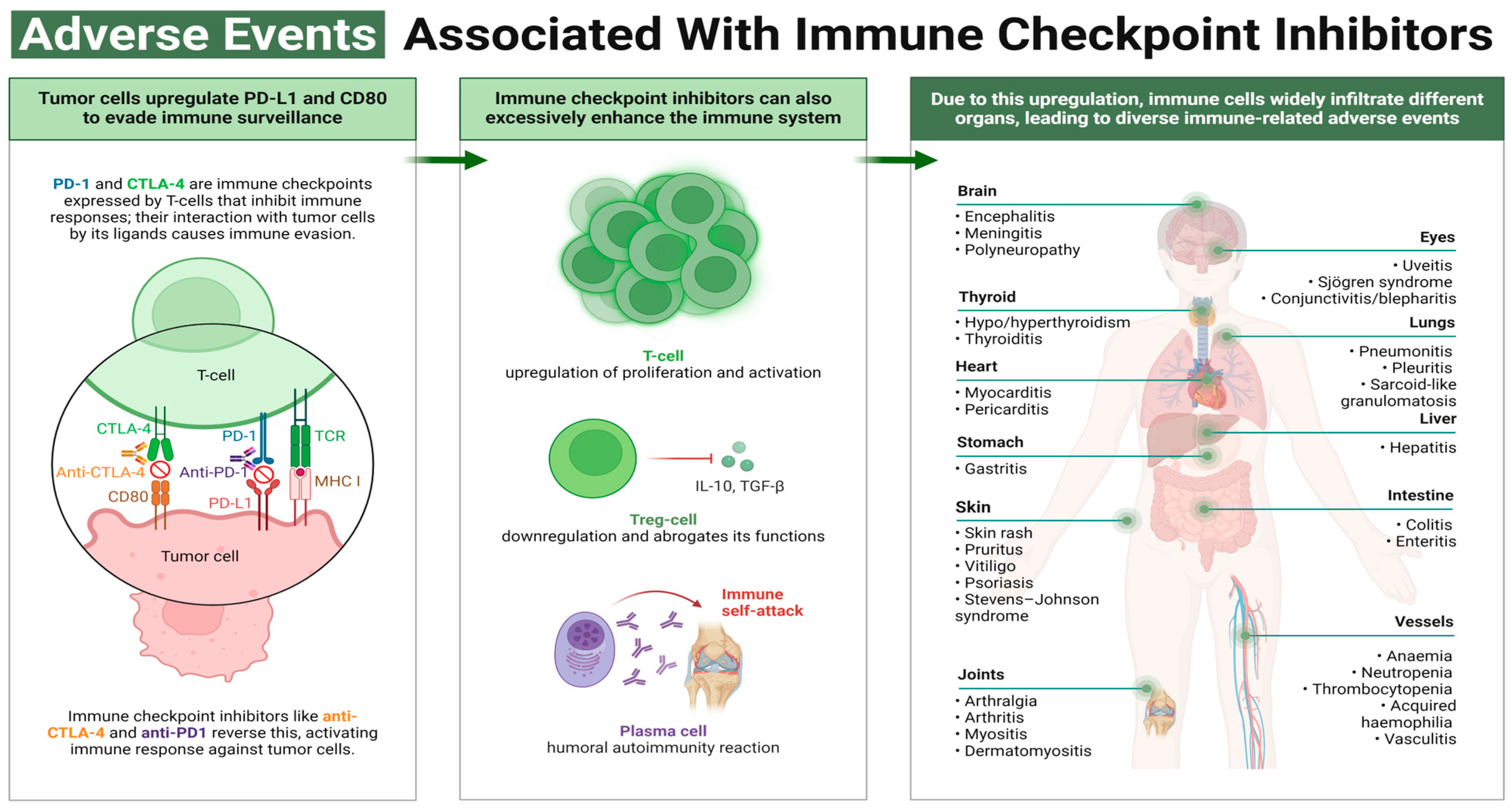 Cancers 16 03929 g001