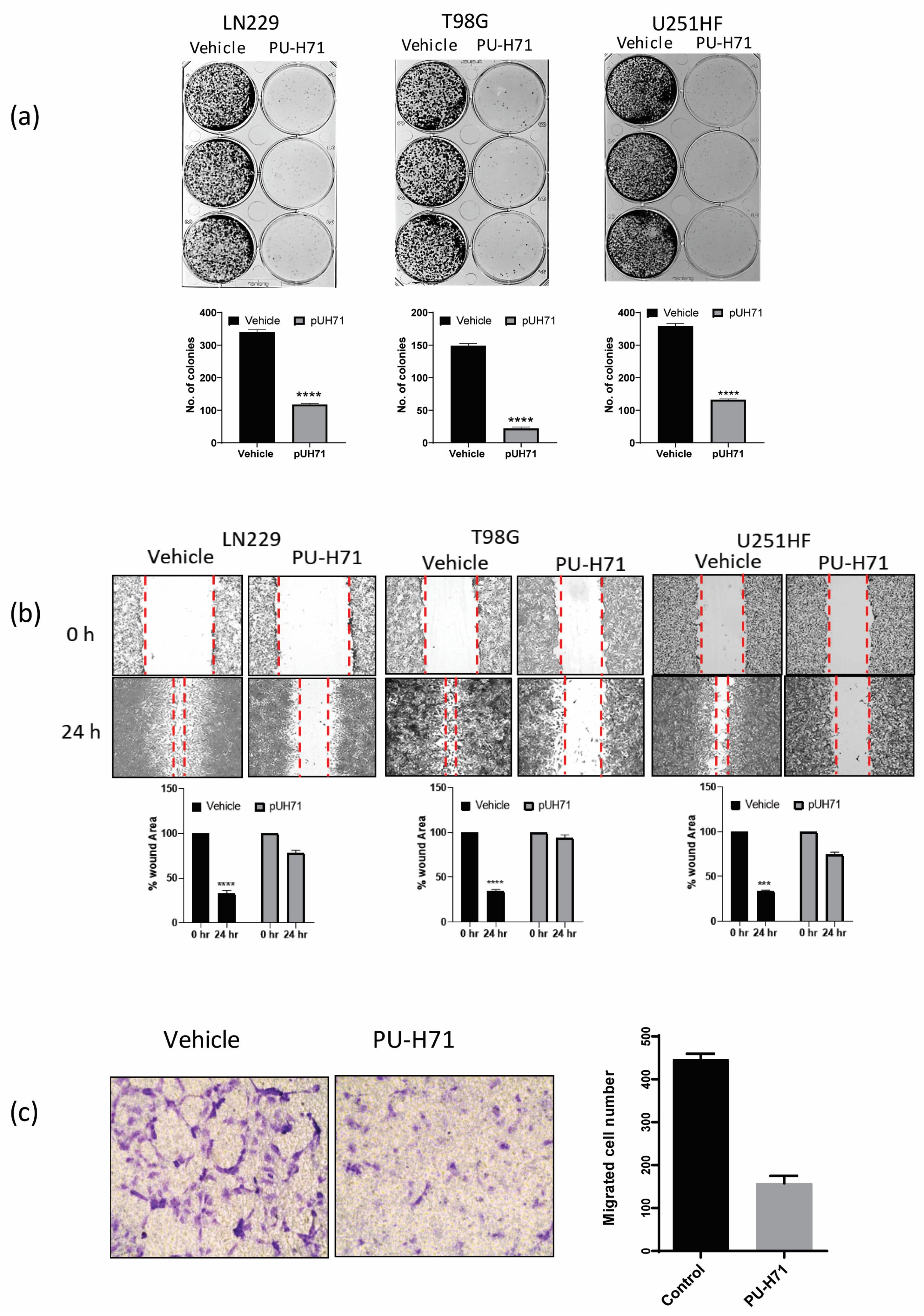 Cancers 16 03934 g003