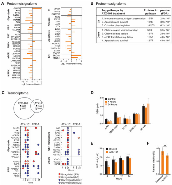 Cancers 16 03963 g001