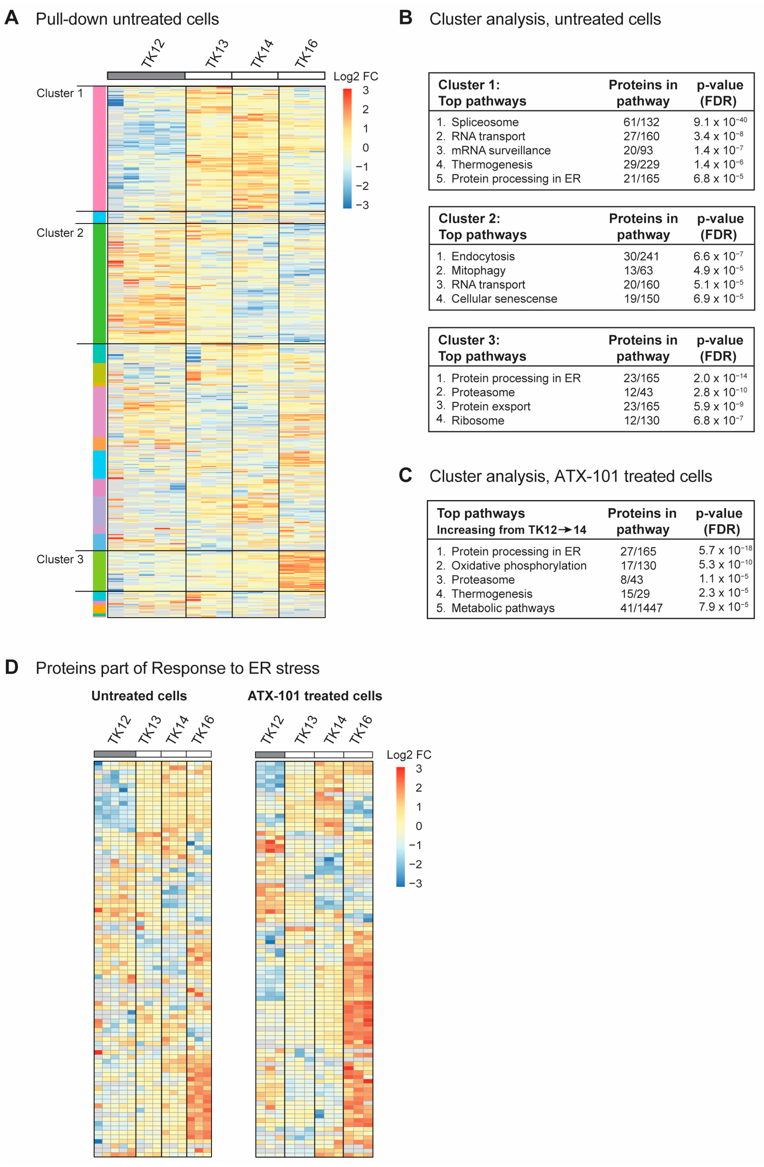 Cancers 16 03963 g003 Cancers 16 03963 g003