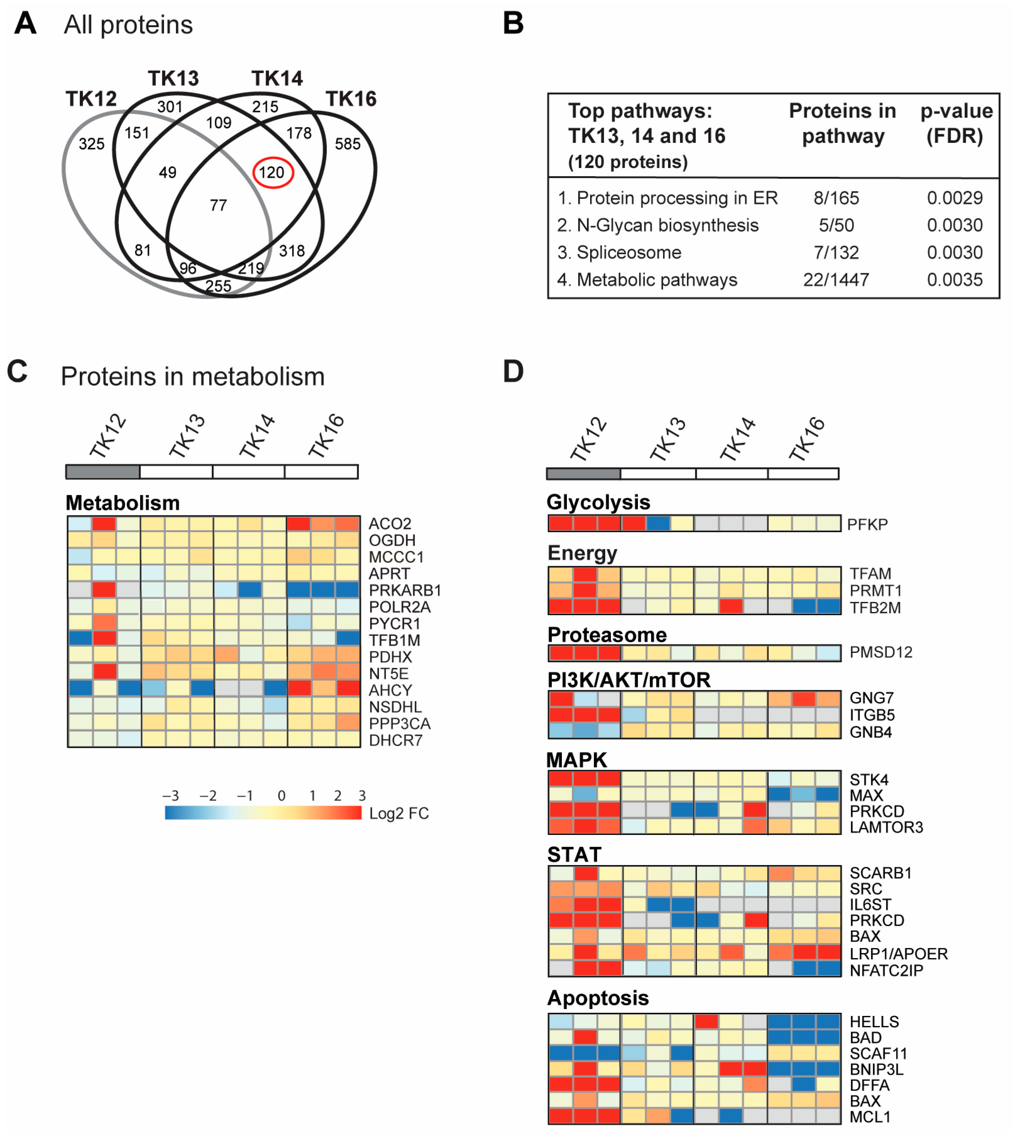 Cancers 16 03963 g004 Cancers 16 03963 g004