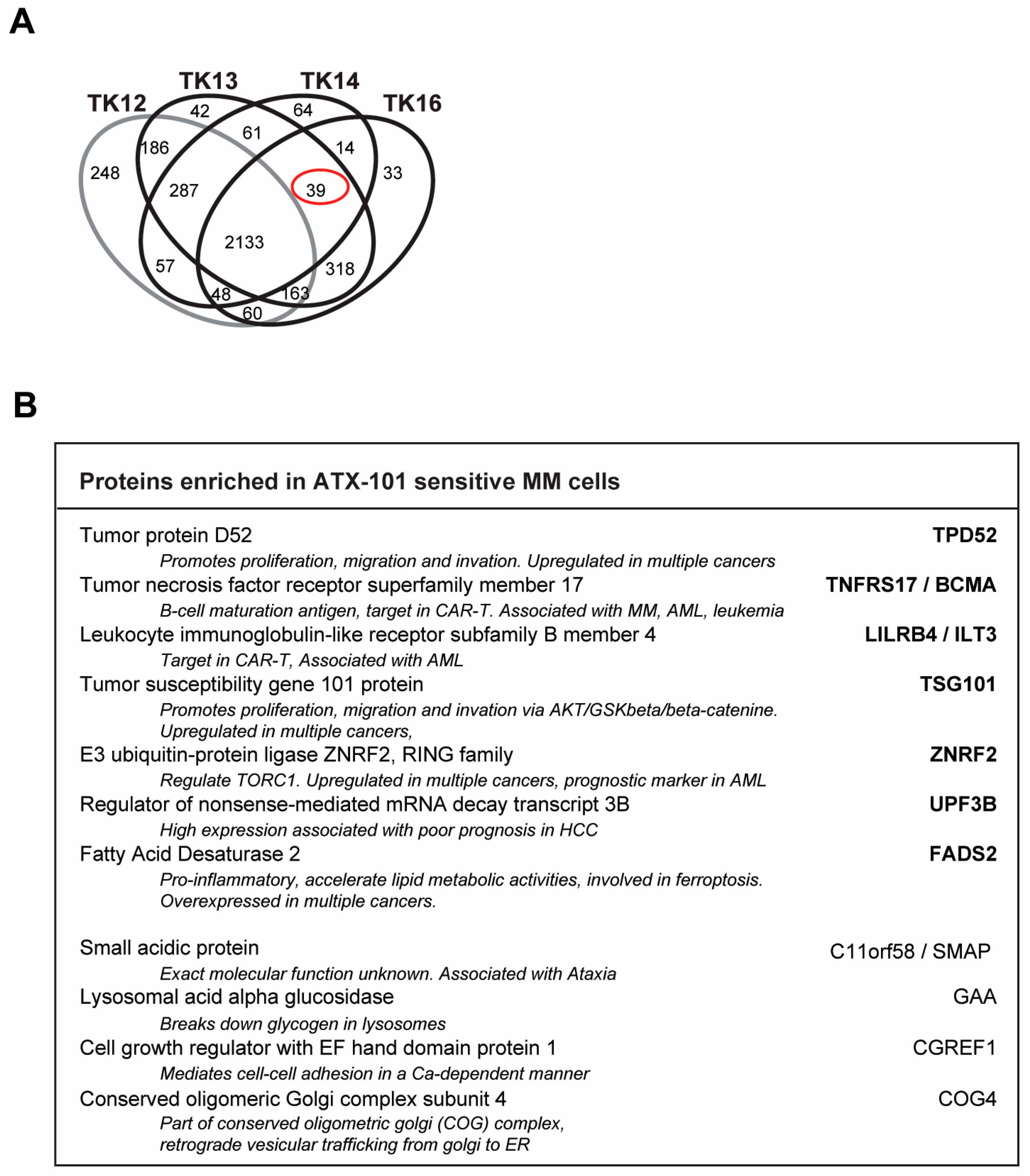 Cancers 16 03963 g007 Cancers 16 03963 g007