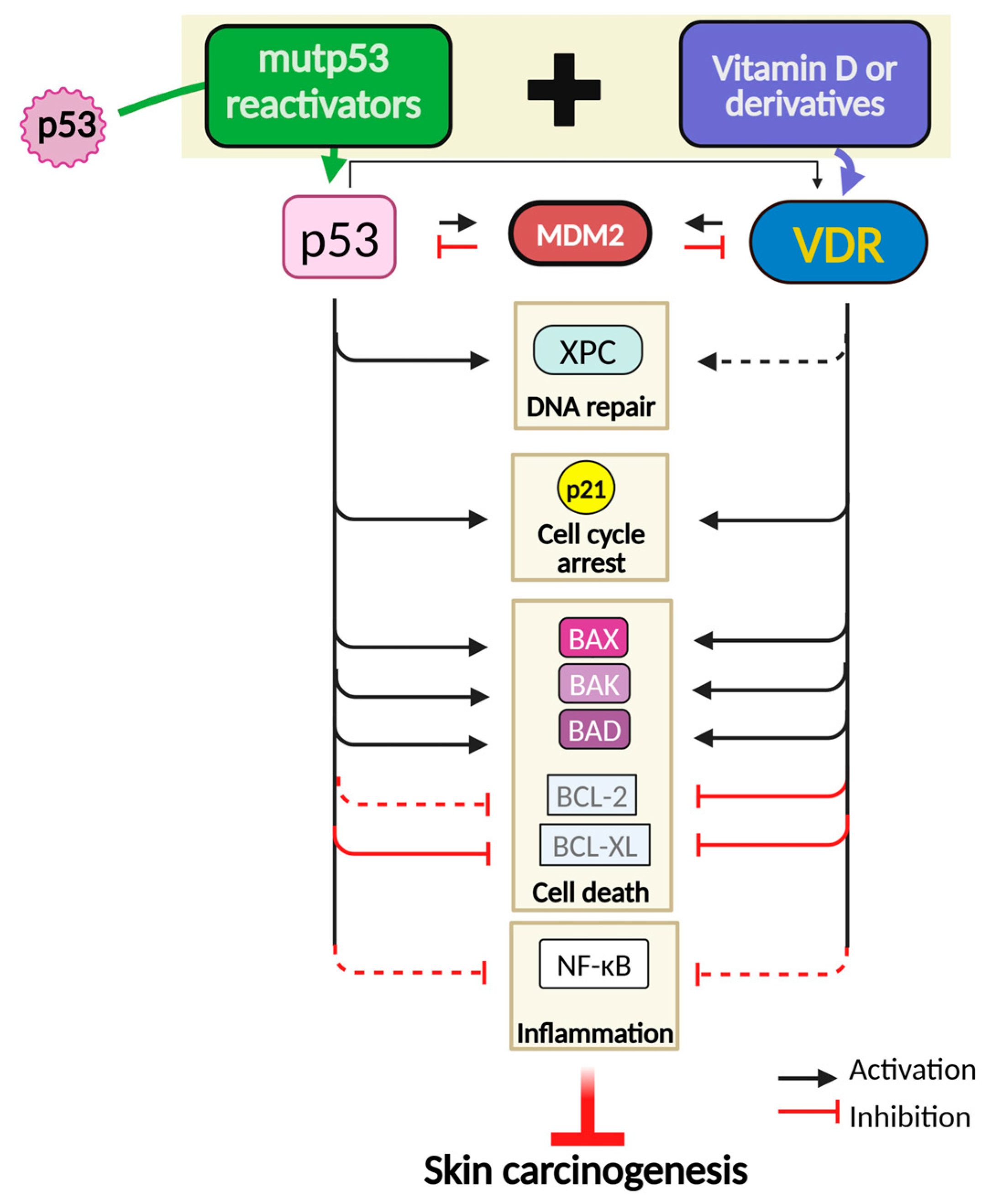 Cancers 16 03978 g005