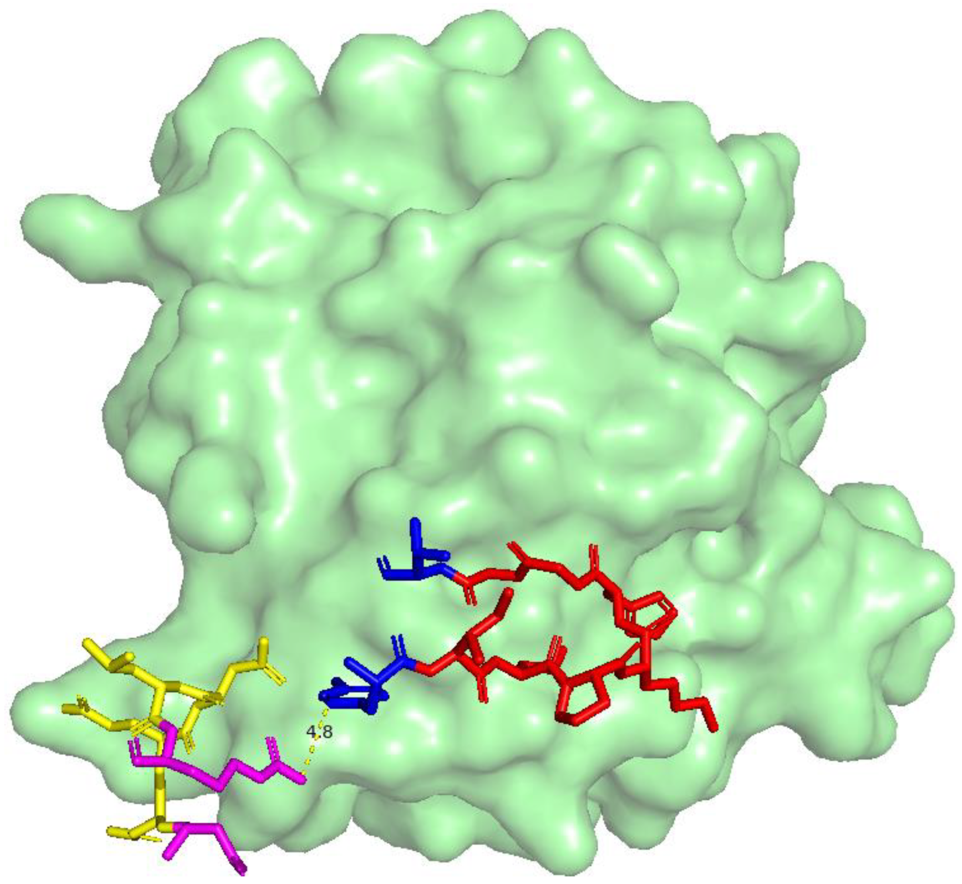 Cancers 16 03979 g002