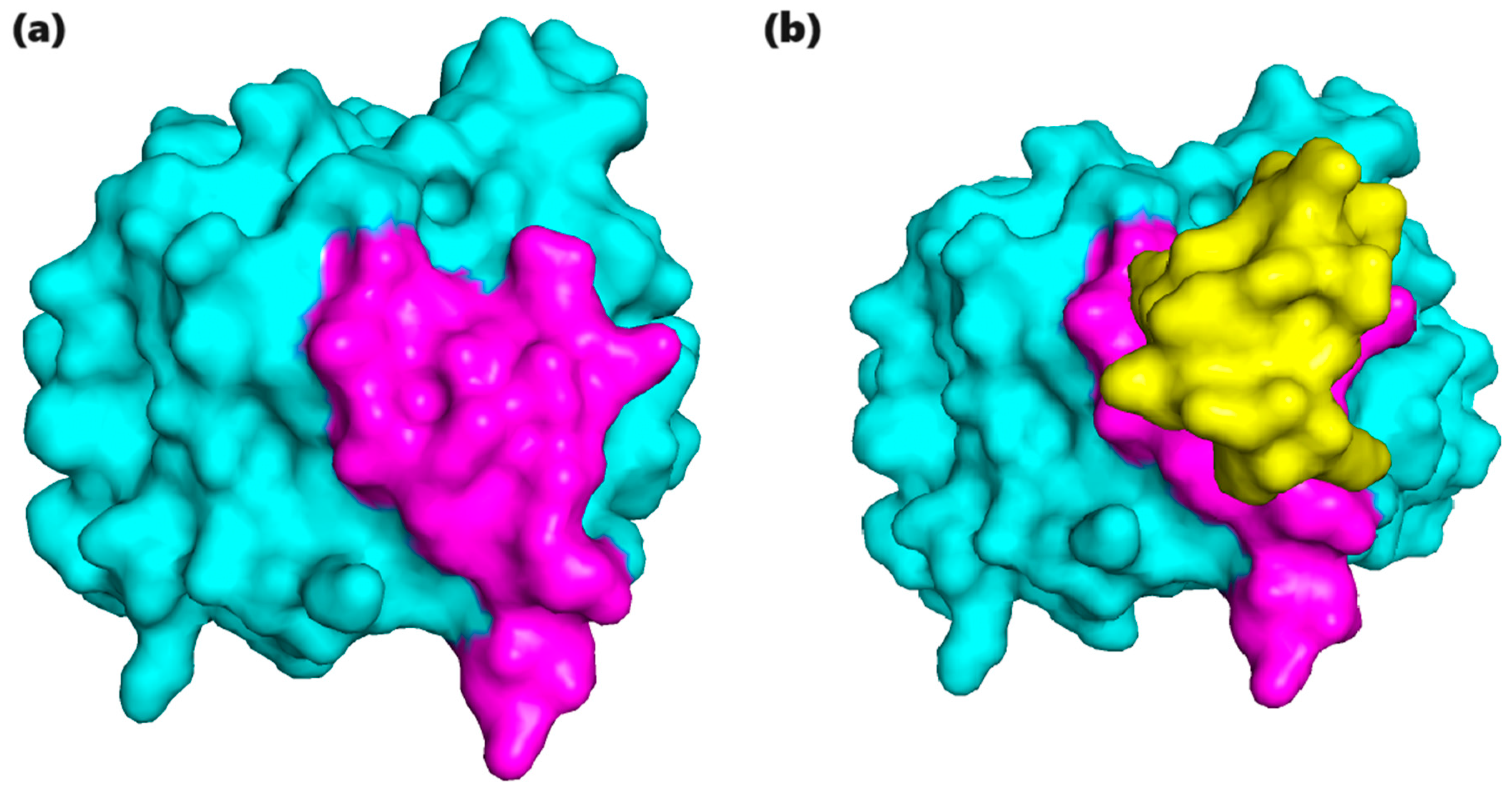 Cancers 16 03979 g003