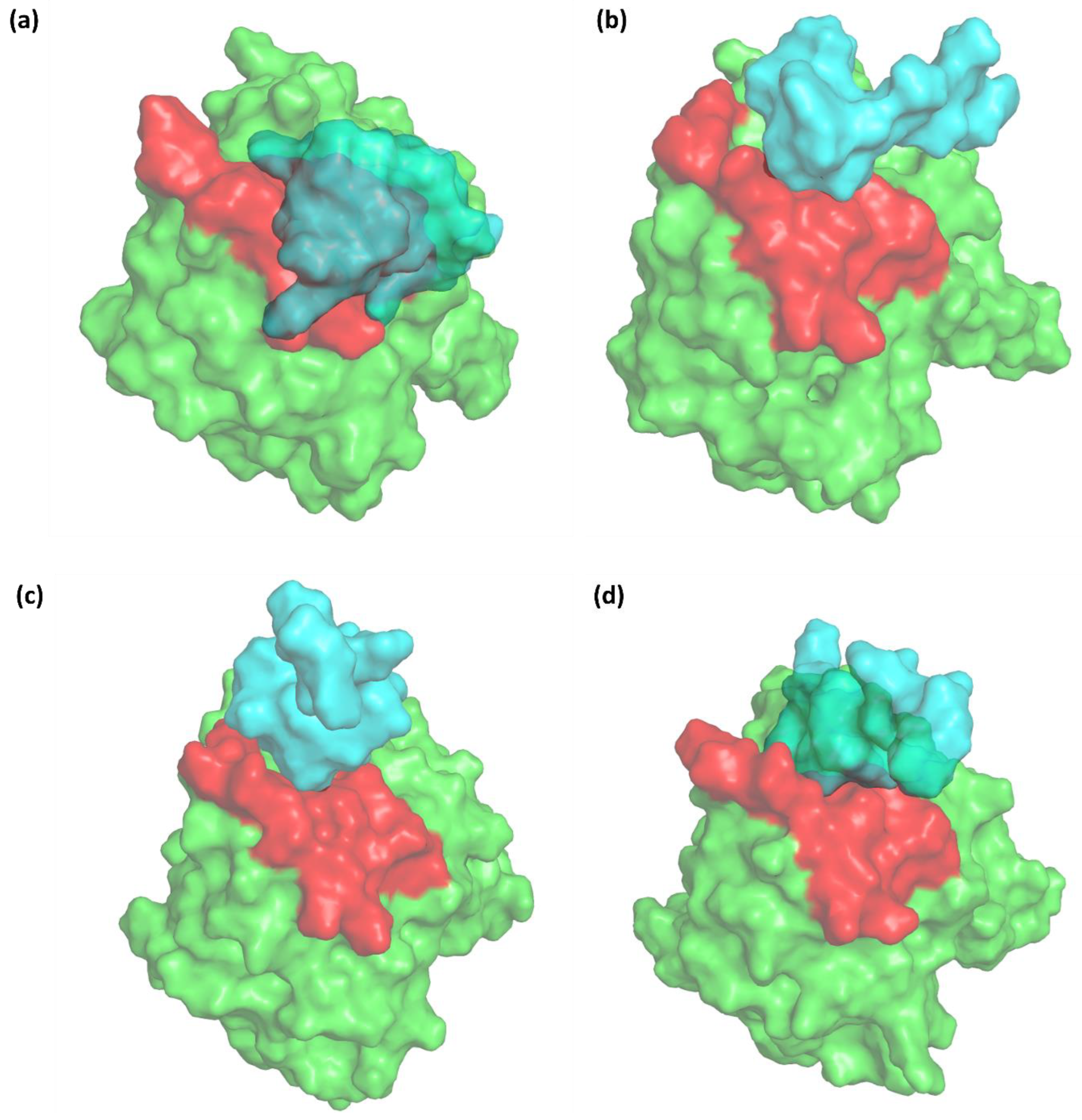 Cancers 16 03979 g005