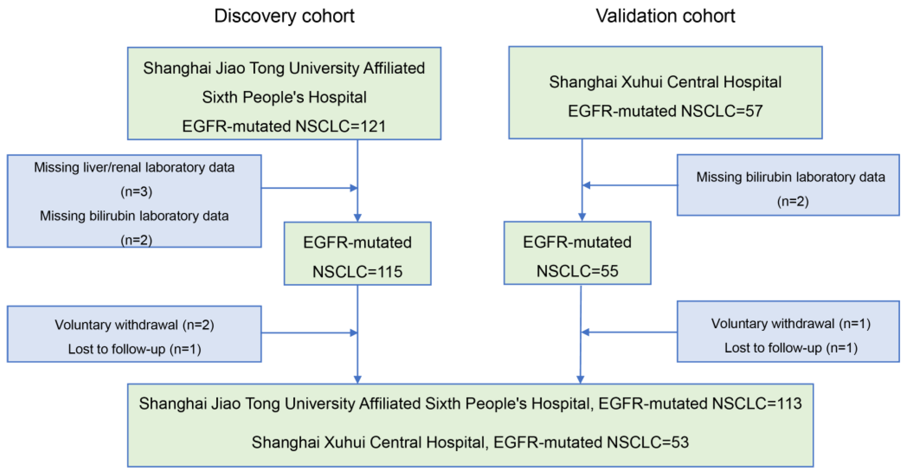 Cancers 16 03982 g001 Cancers 16 03982 g001
