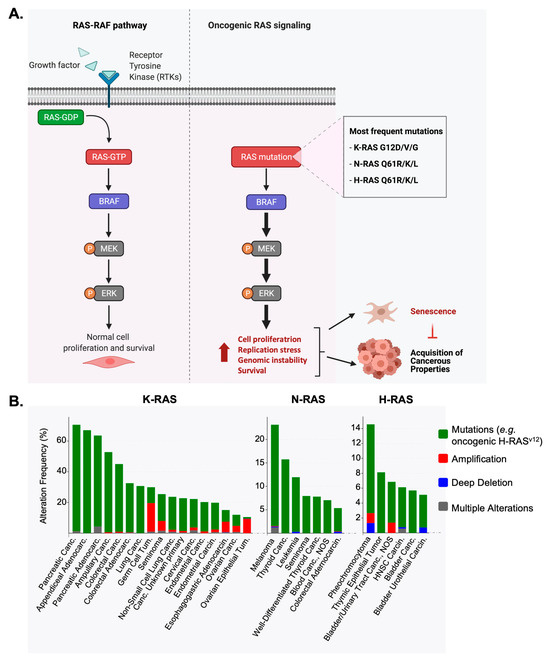 Cancers 16 03993 g001