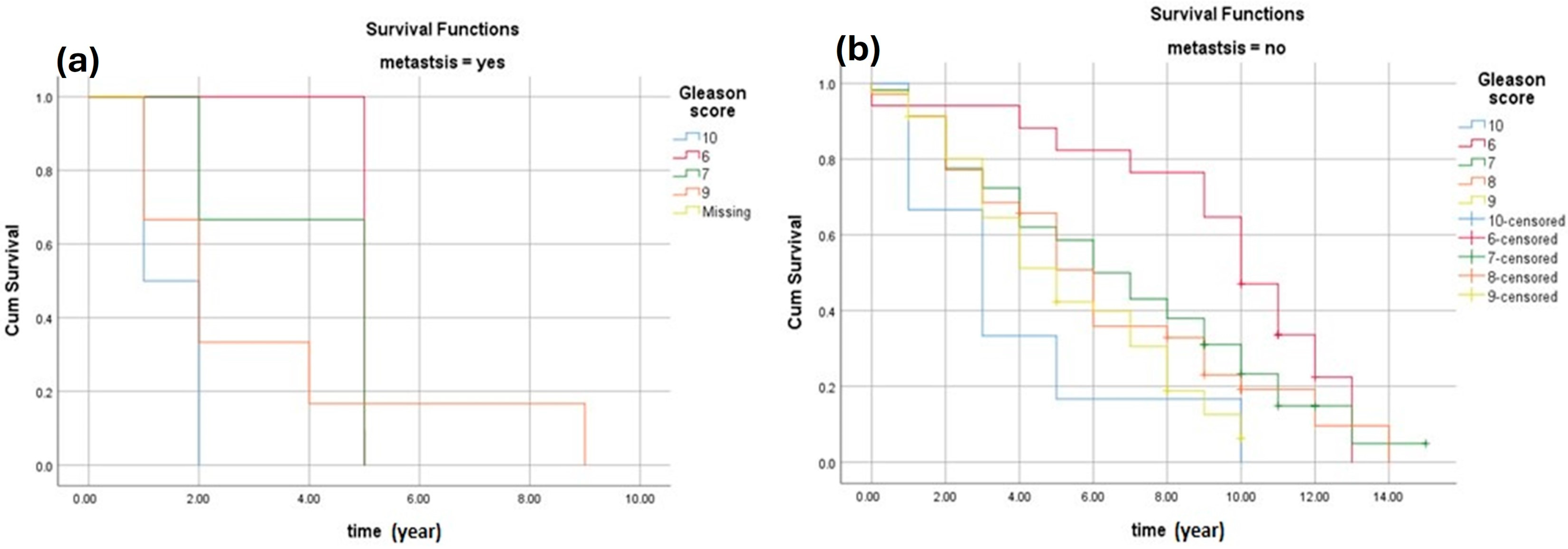 Cancers 16 03995 g004