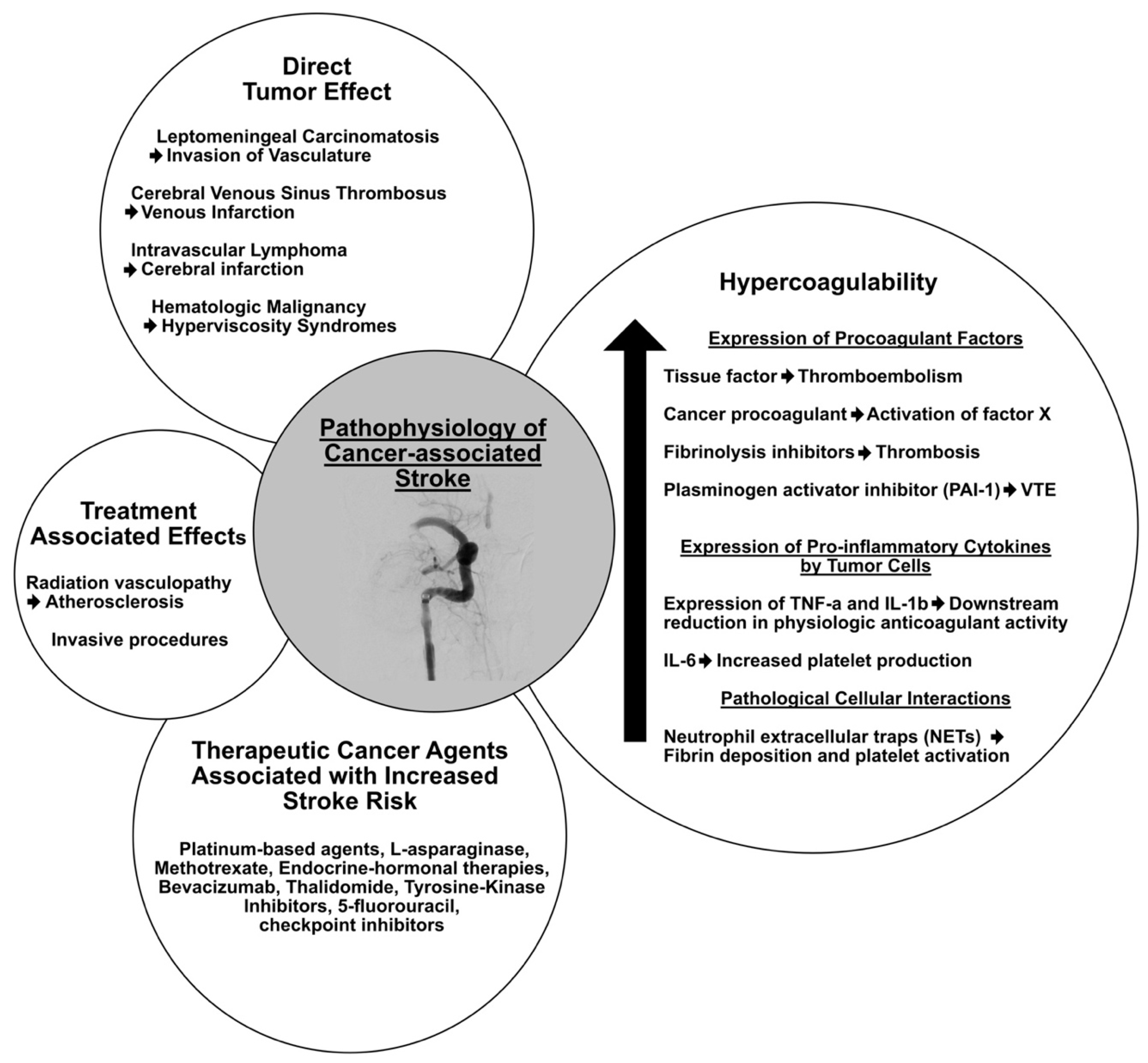 Cancers 16 04016 g001