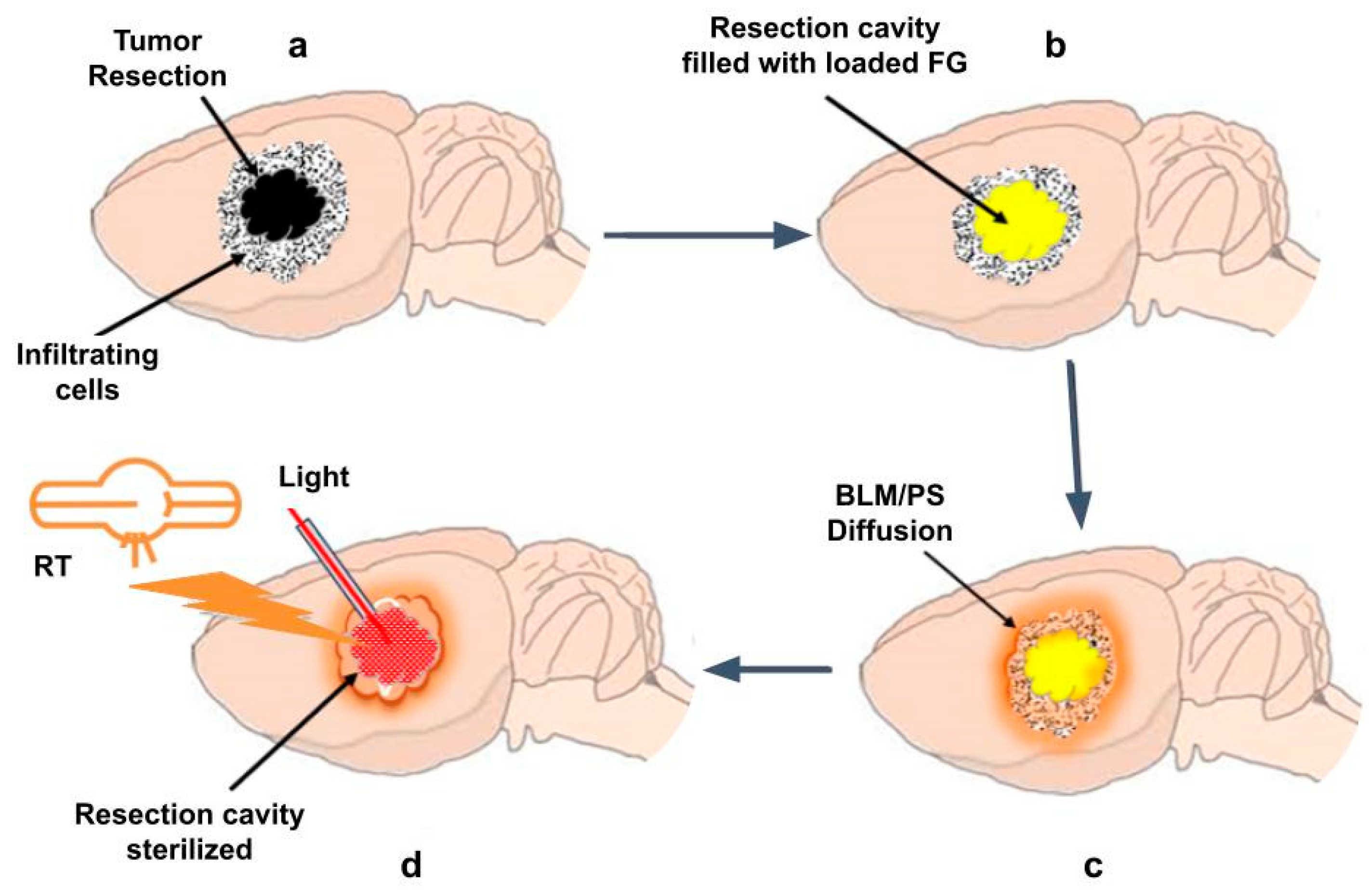 Cancers 16 04029 g008