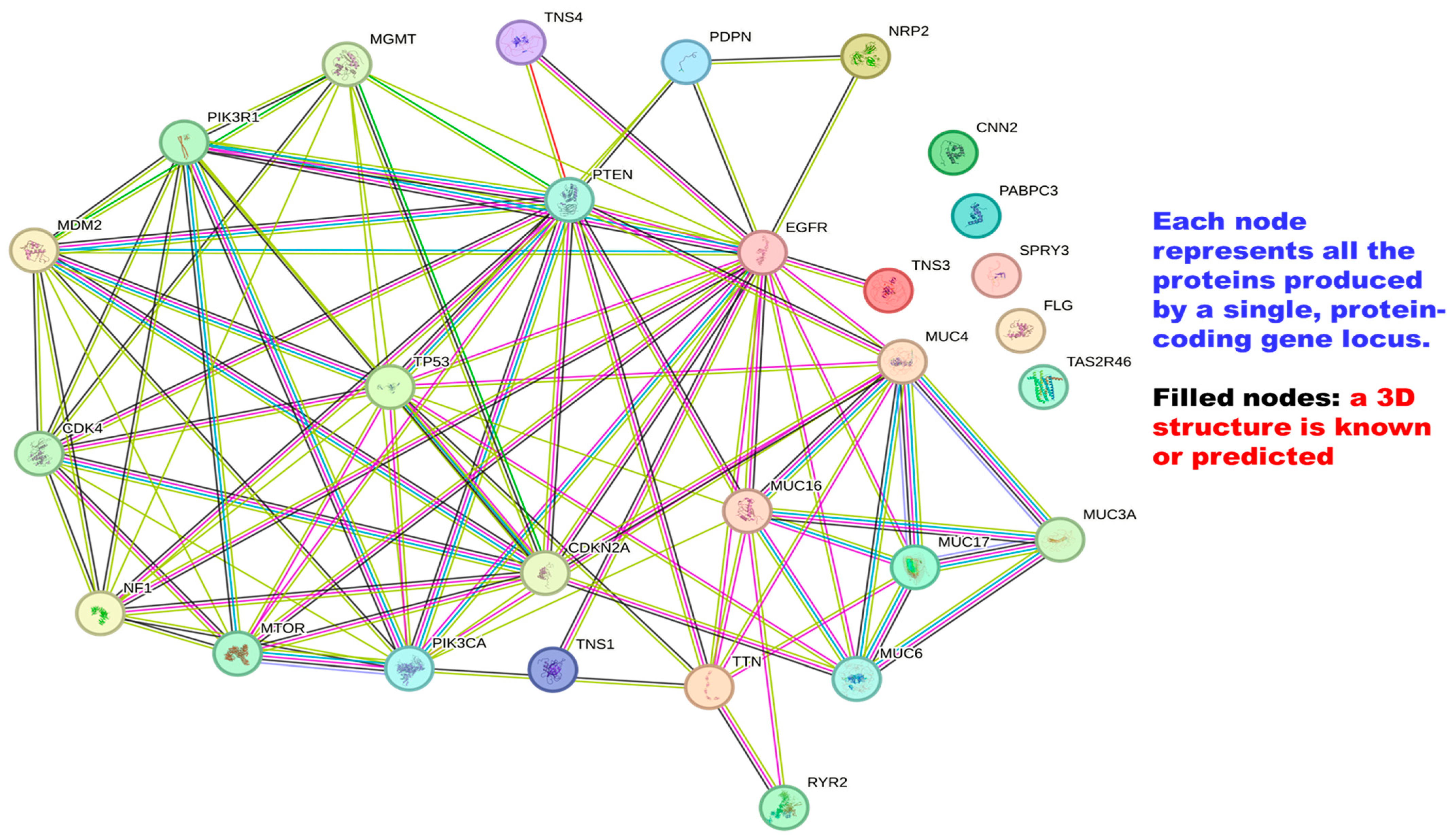 Cancers 16 04051 g003