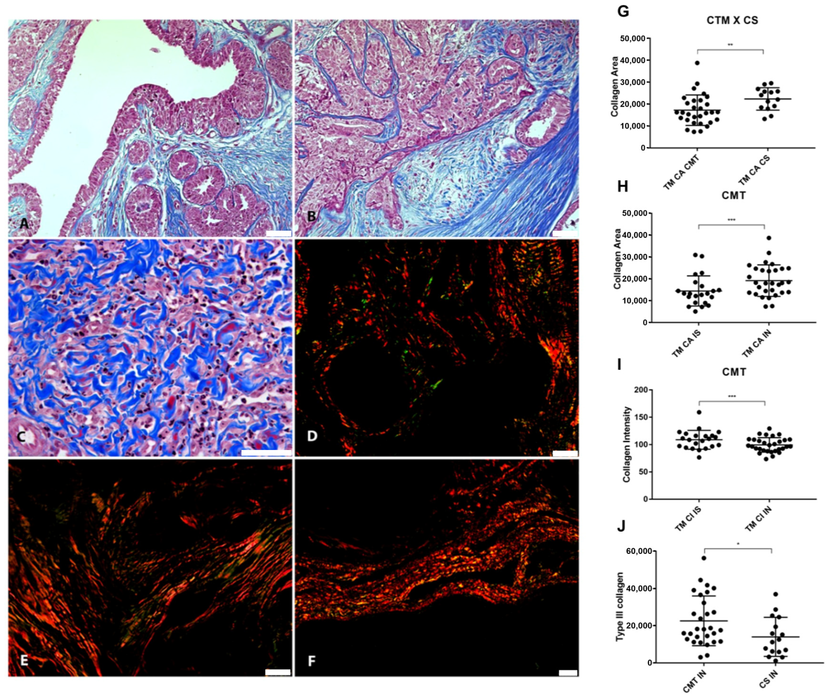 Cancers 16 04057 g006