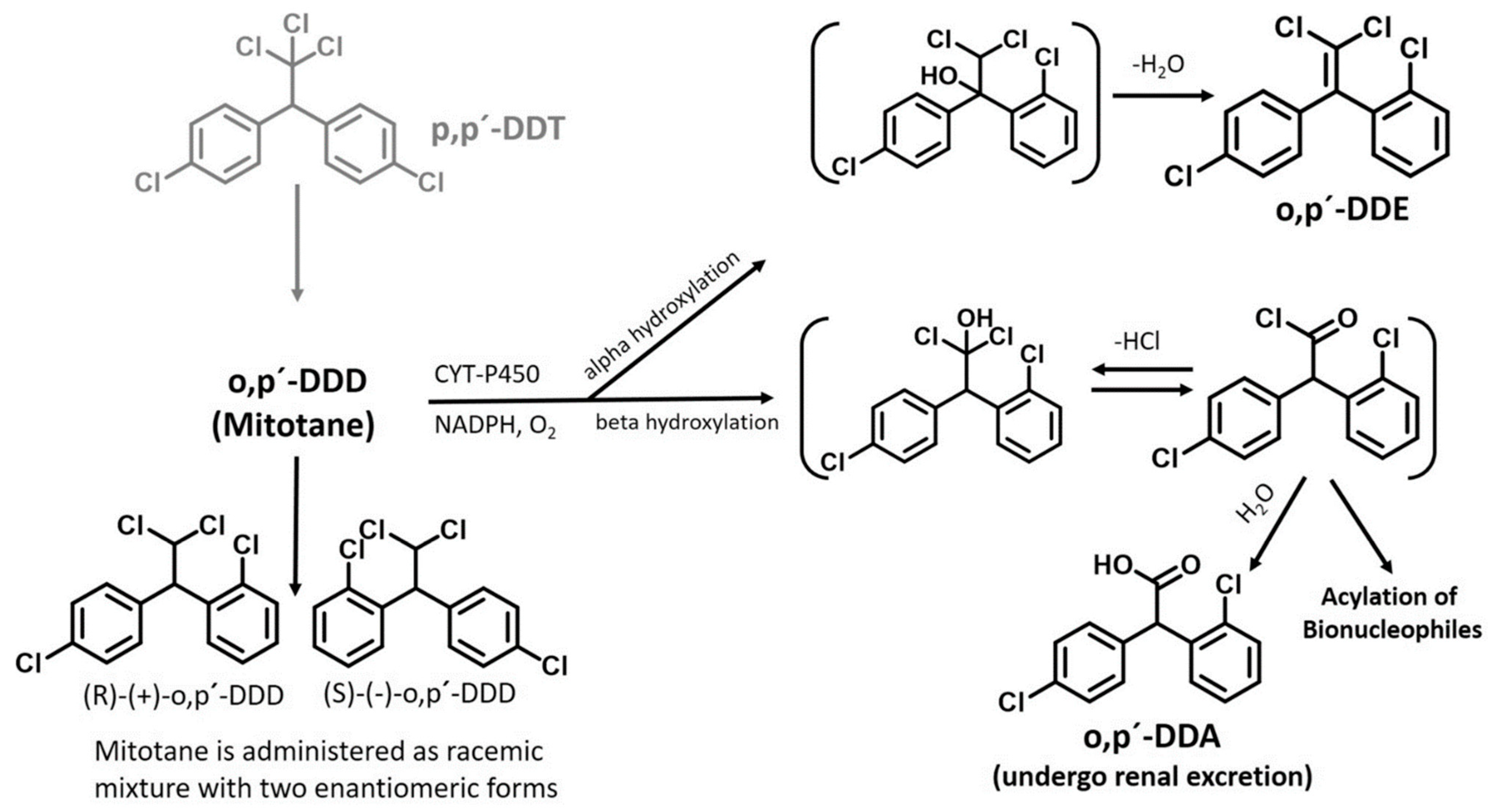 Cancers 16 04061 g001