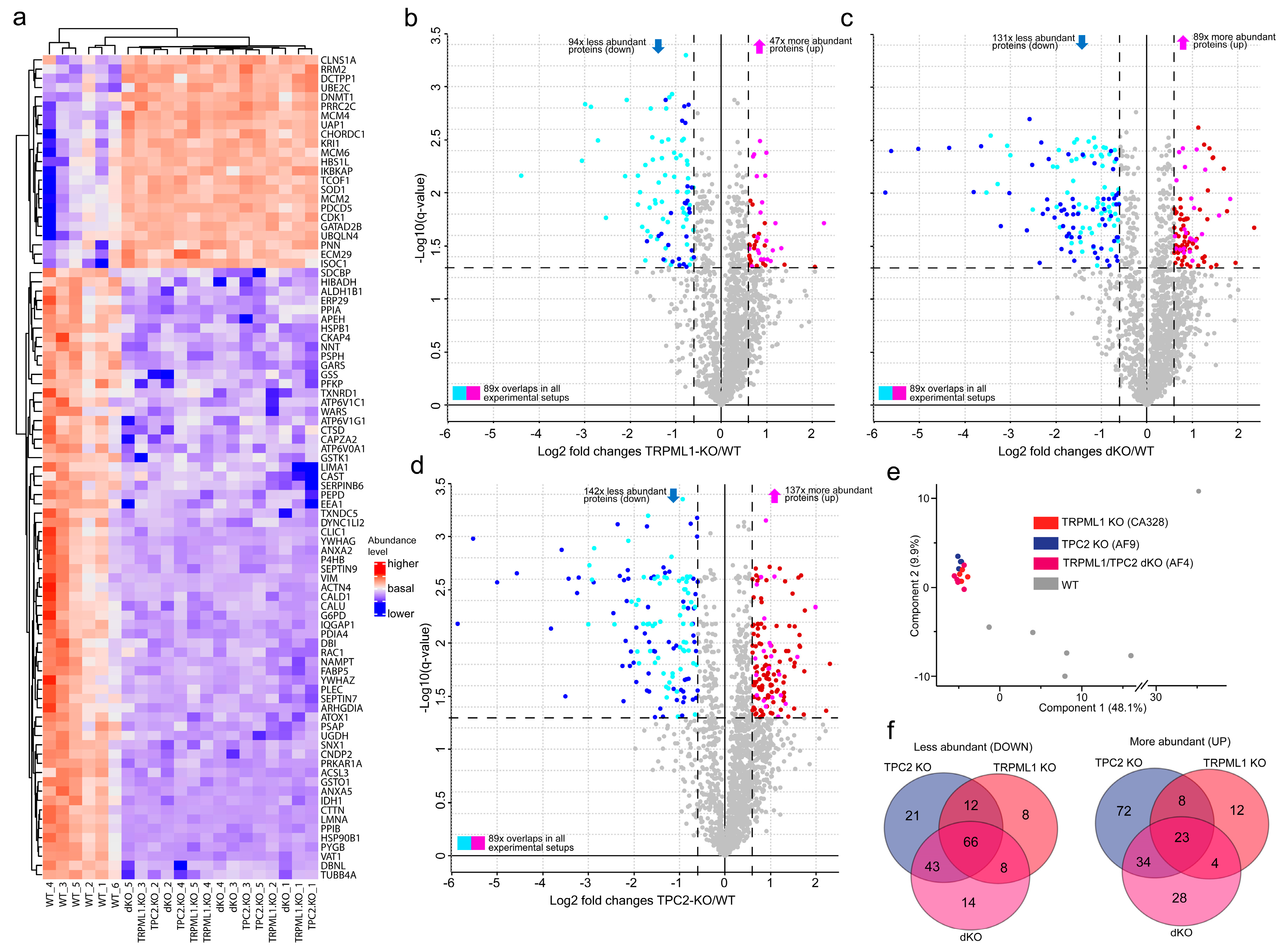 Cancers 16 04065 g002