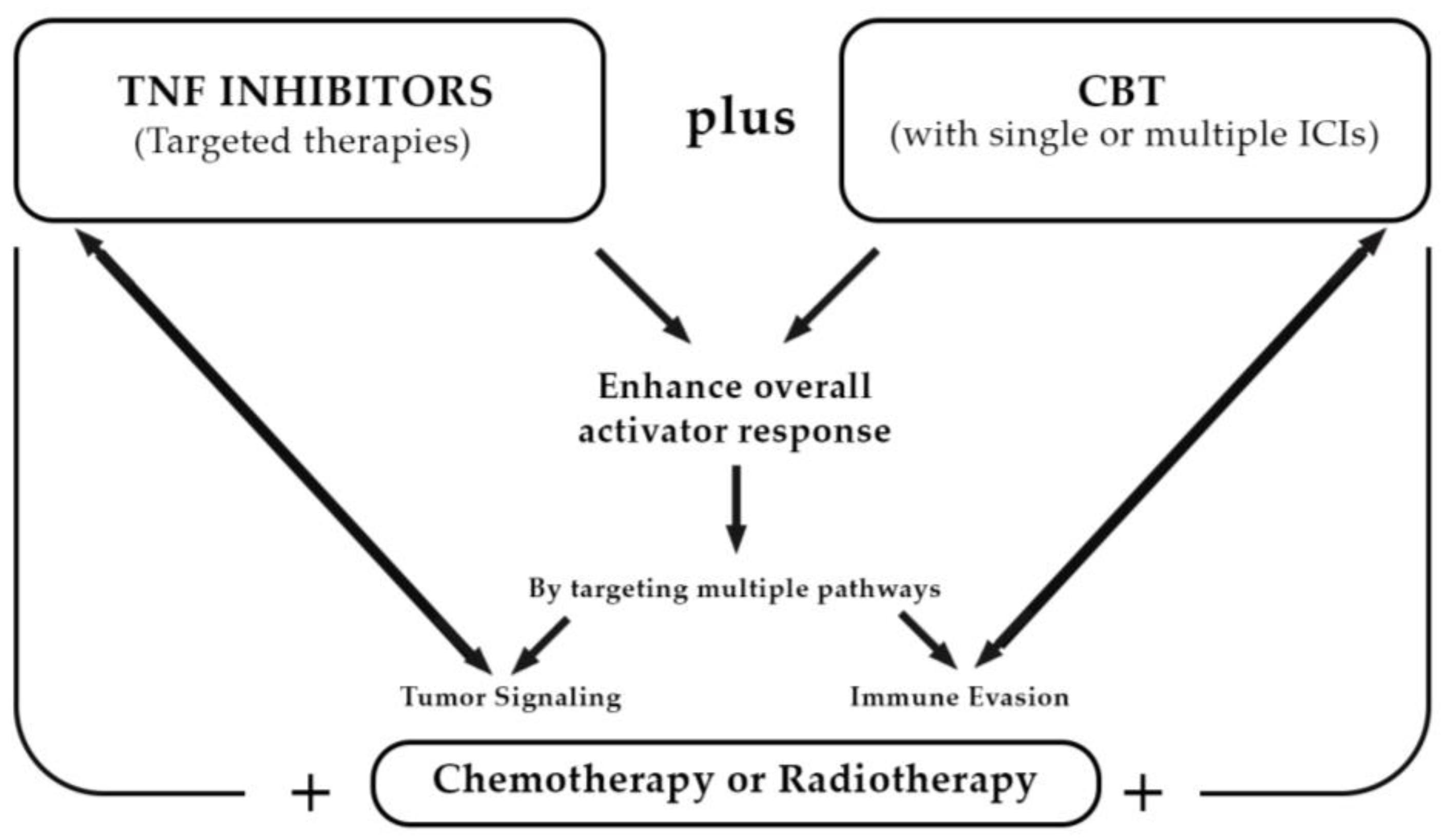 Cancers 16 04070 g001