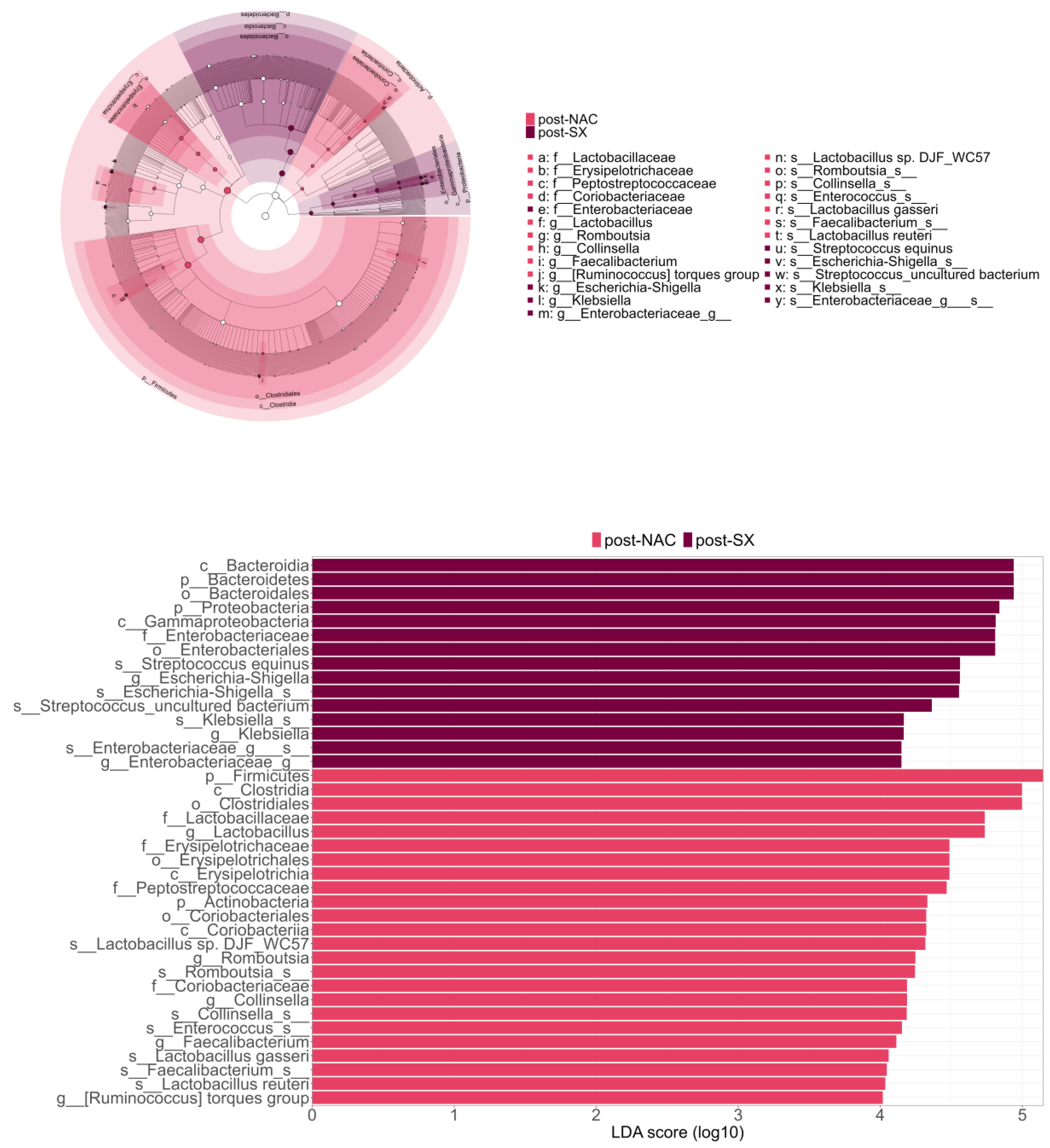 Cancers 16 04074 g004