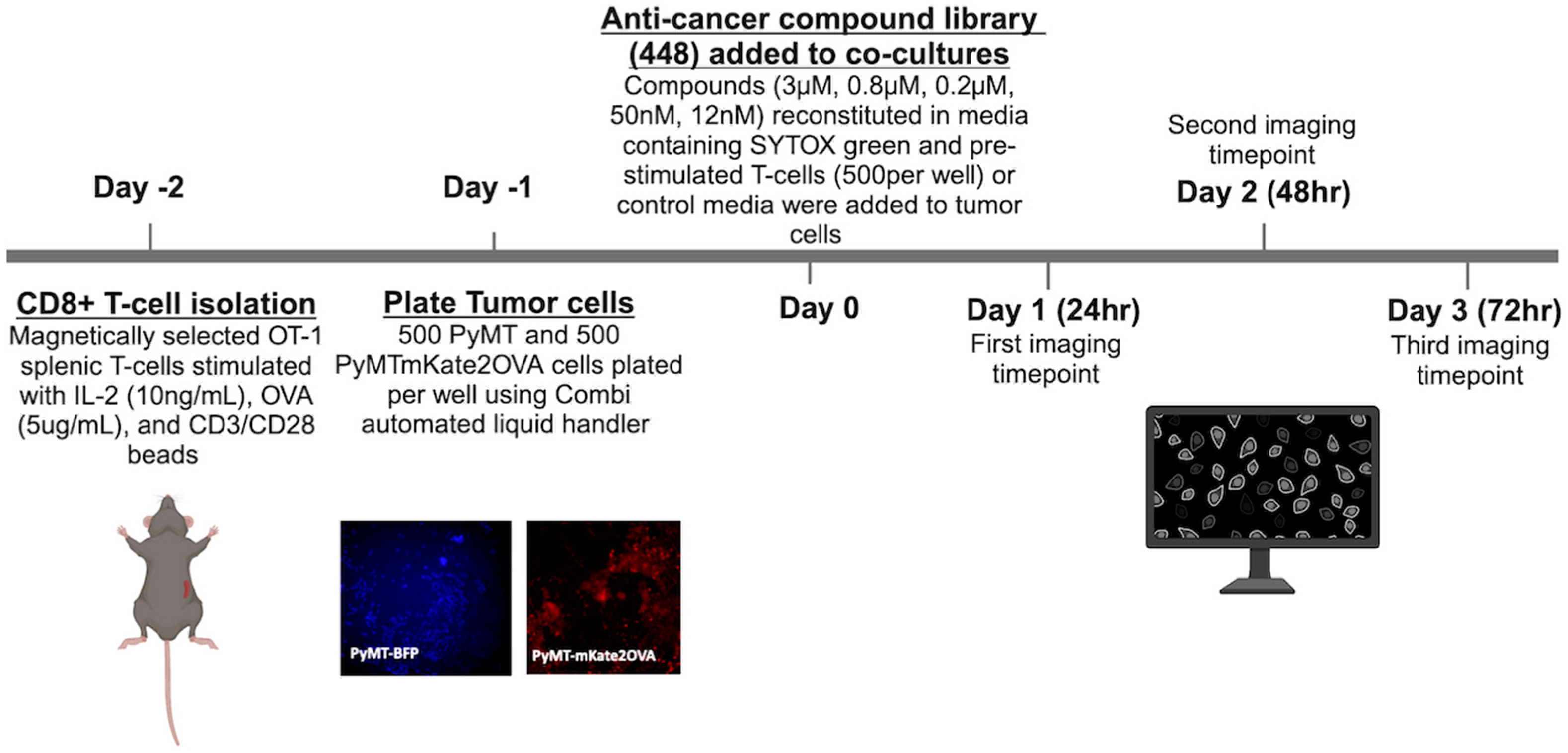 Cancers 16 04075 g002
