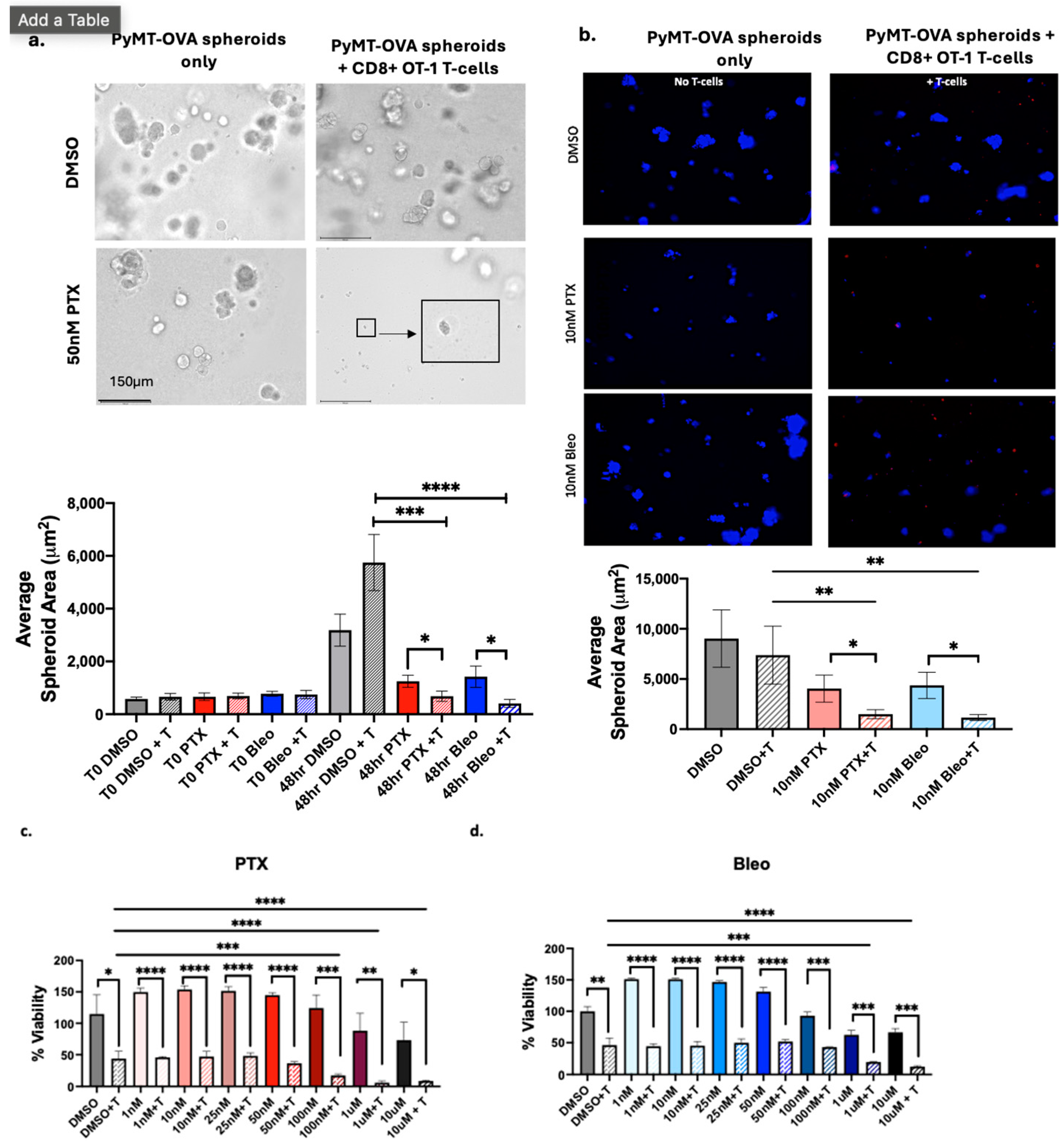 Cancers 16 04075 g008