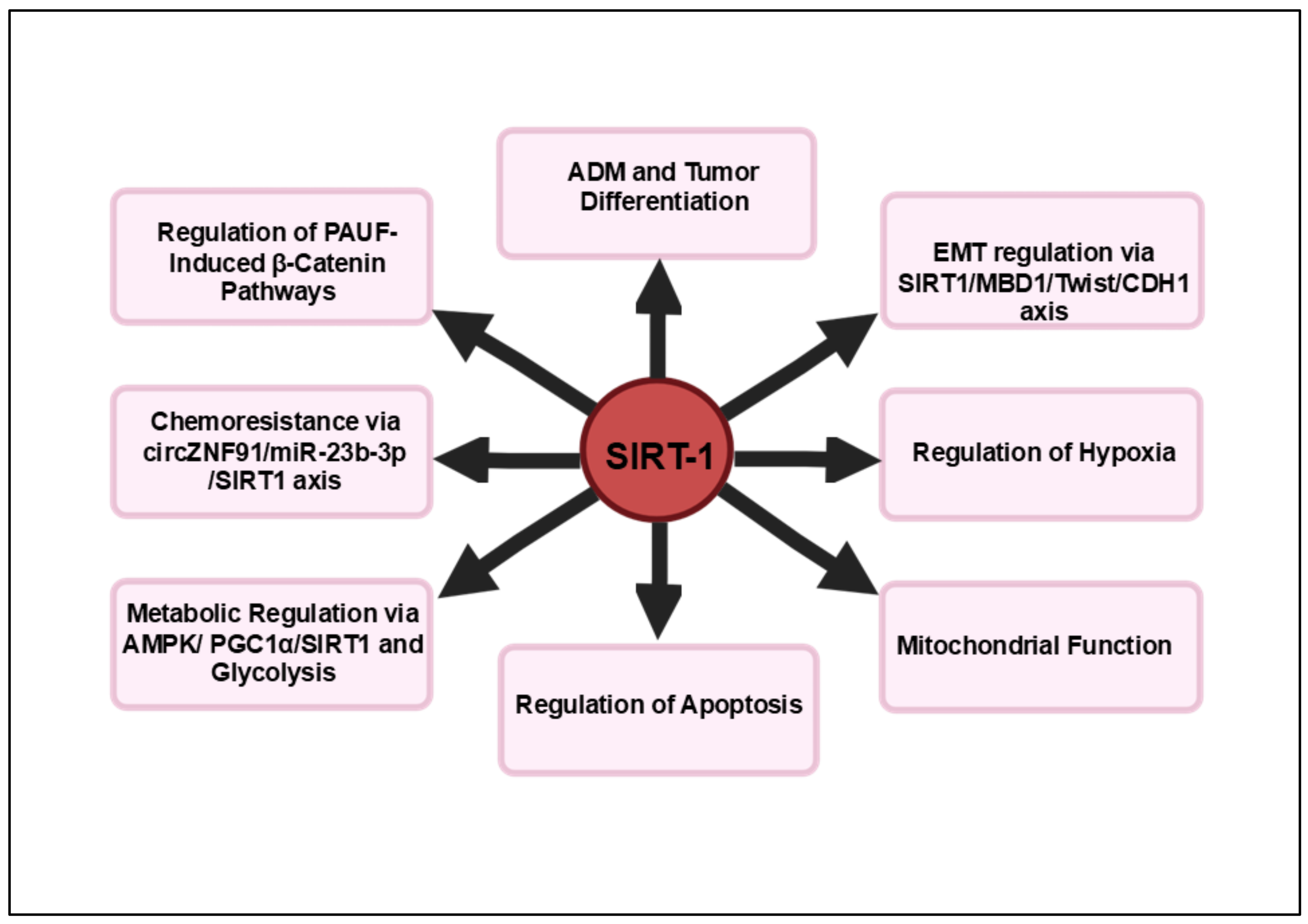 Cancers 16 04095 g001