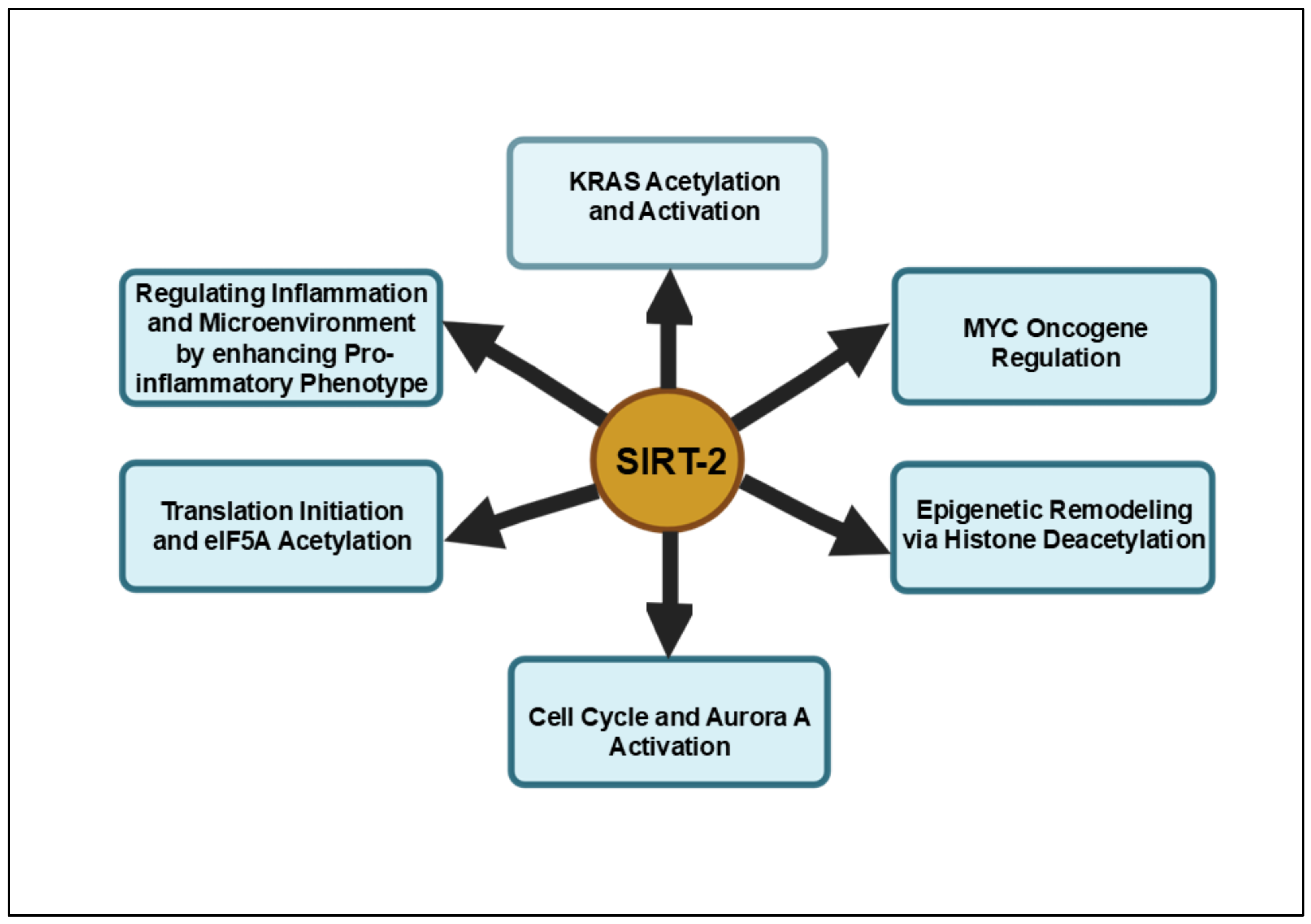 Cancers 16 04095 g002