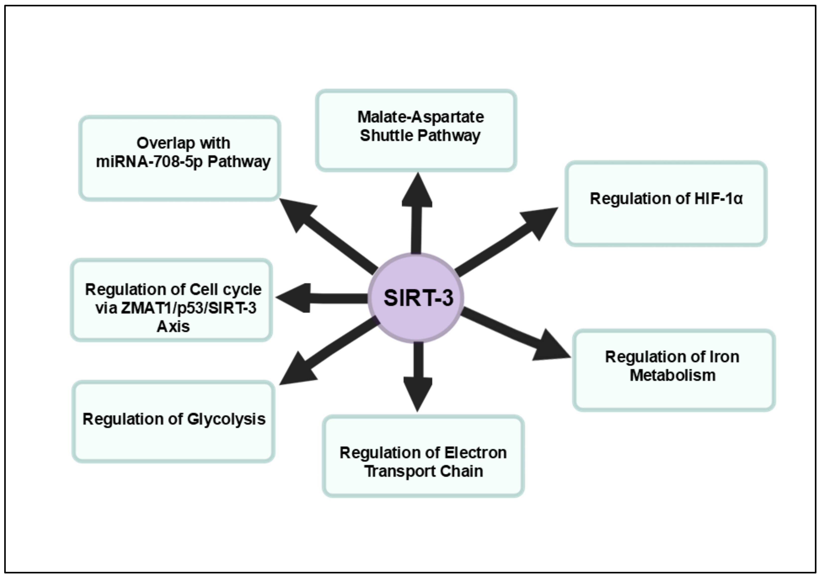 Cancers 16 04095 g003