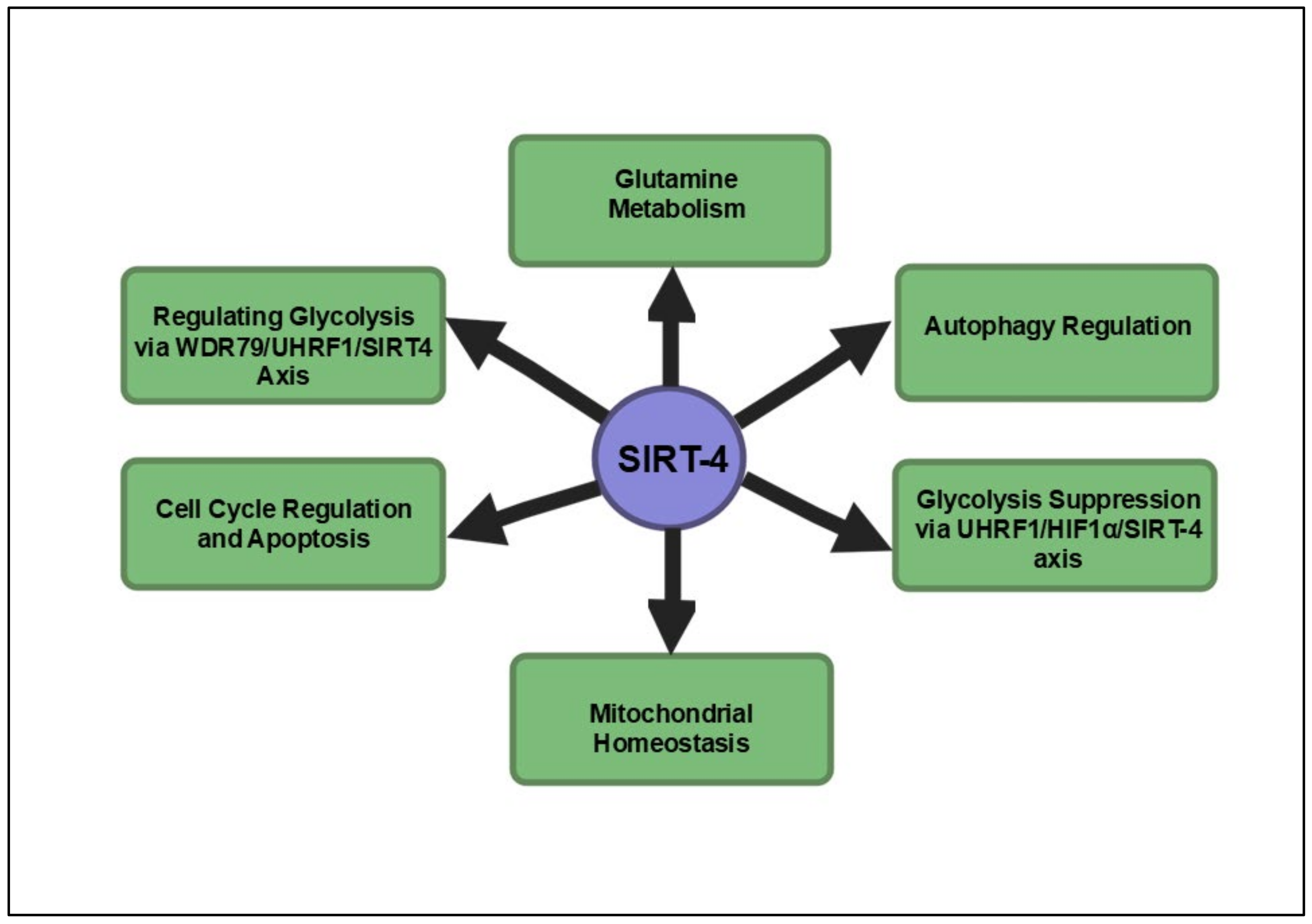 Cancers 16 04095 g004