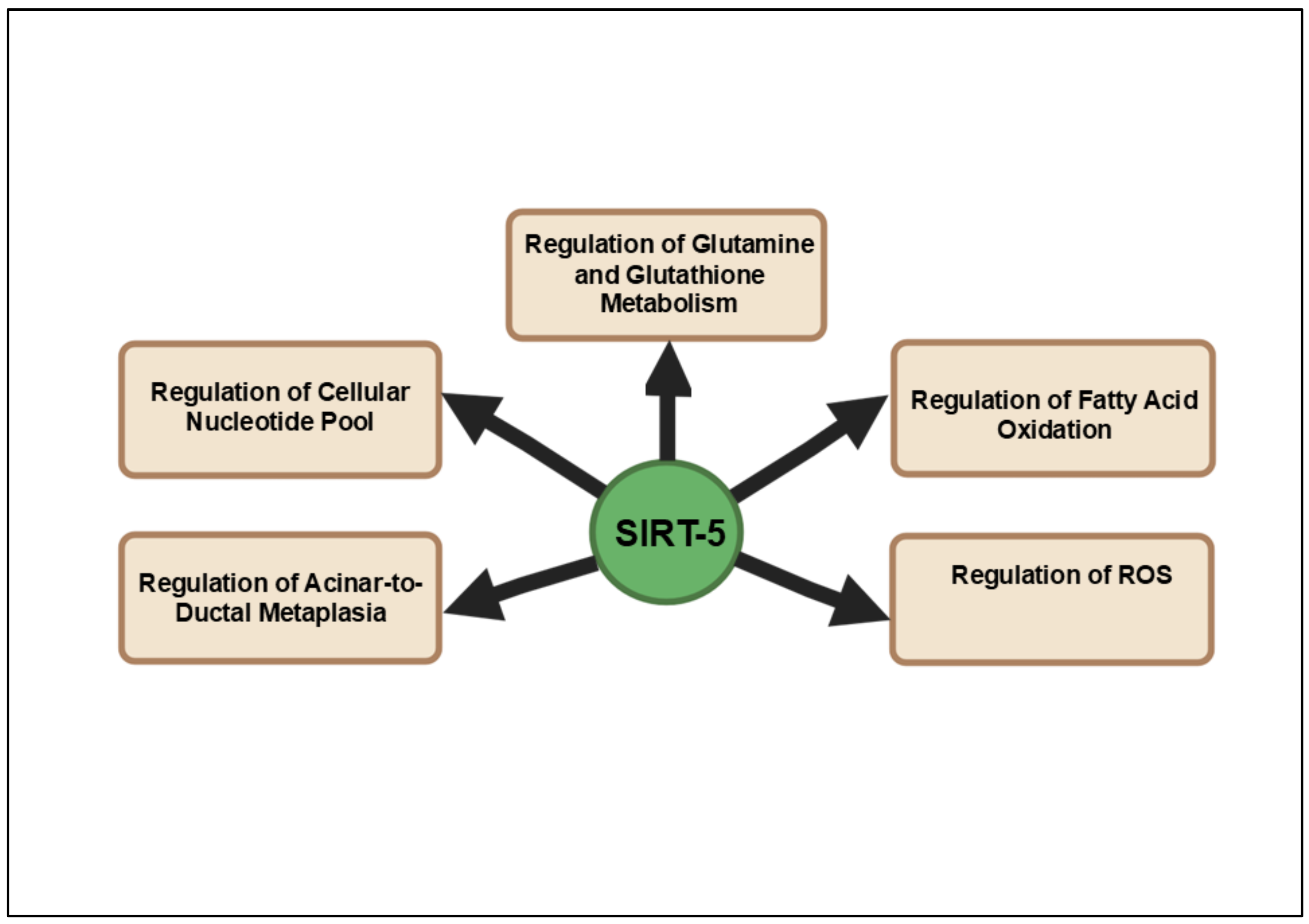 Cancers 16 04095 g005