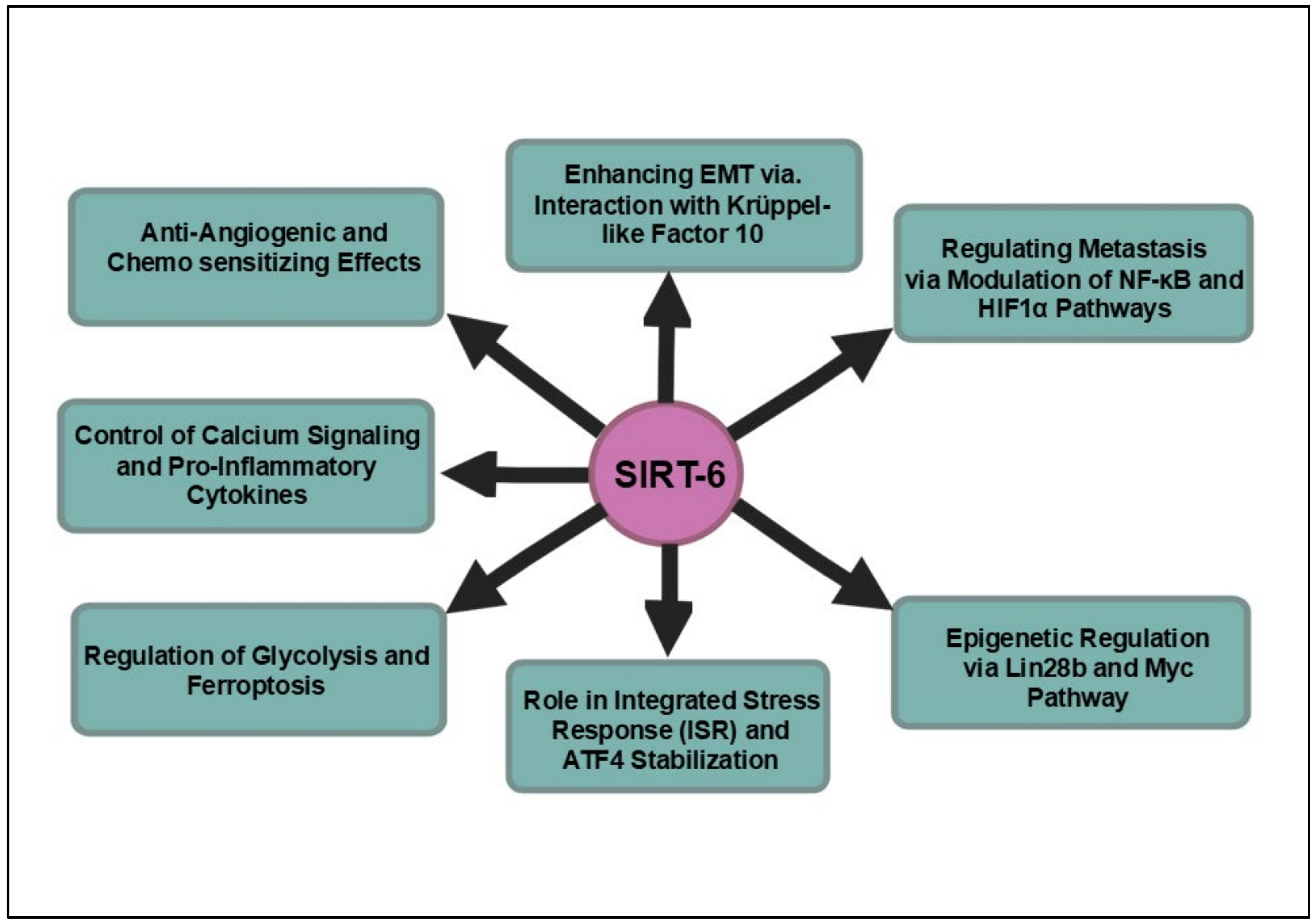 Cancers 16 04095 g006