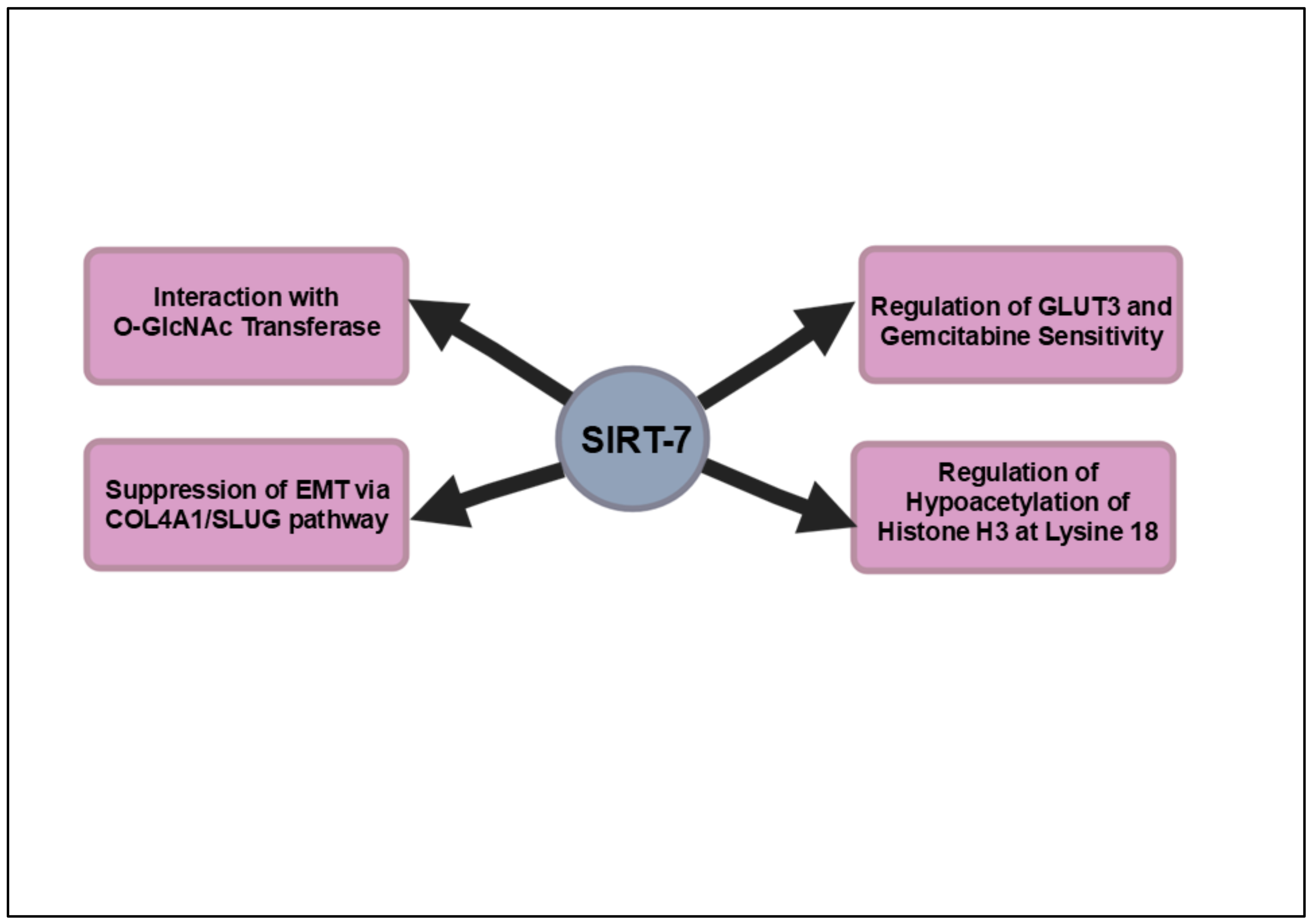 Cancers 16 04095 g007