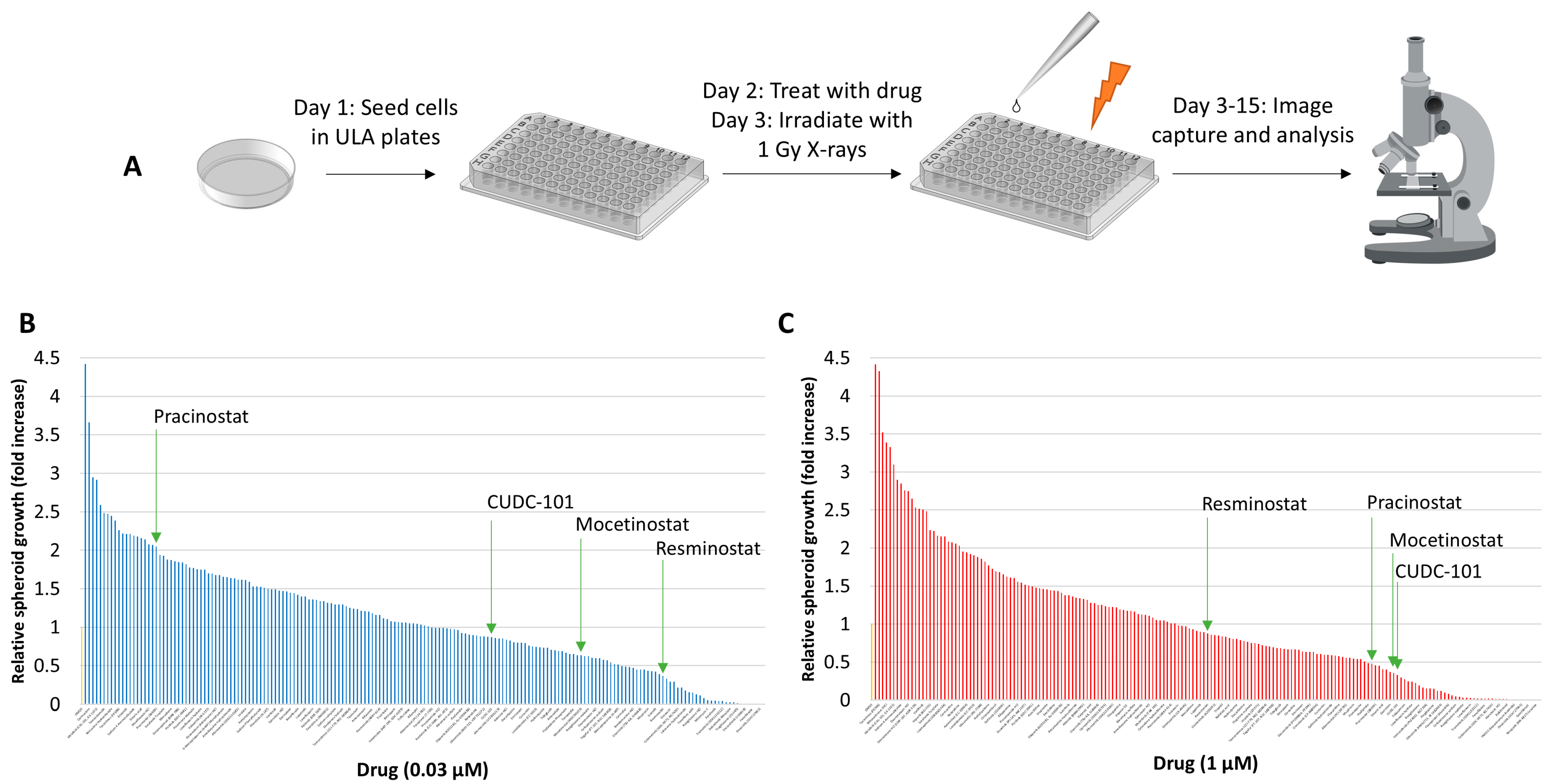 Cancers 16 04108 g001