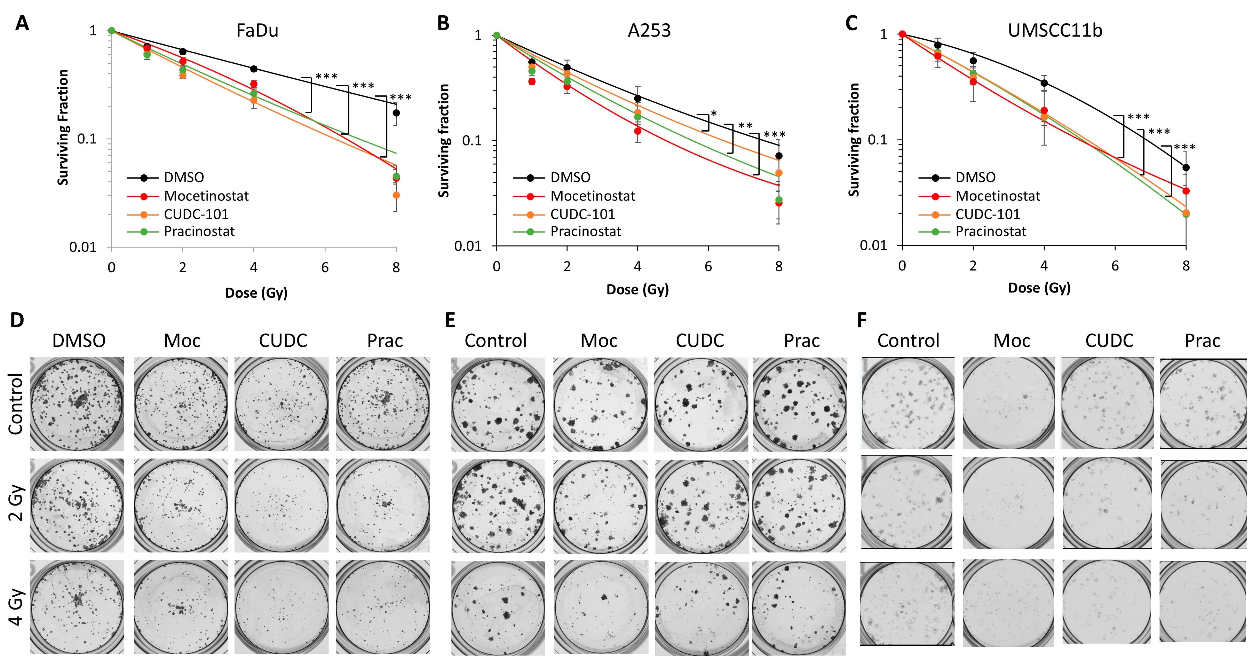 Cancers 16 04108 g004