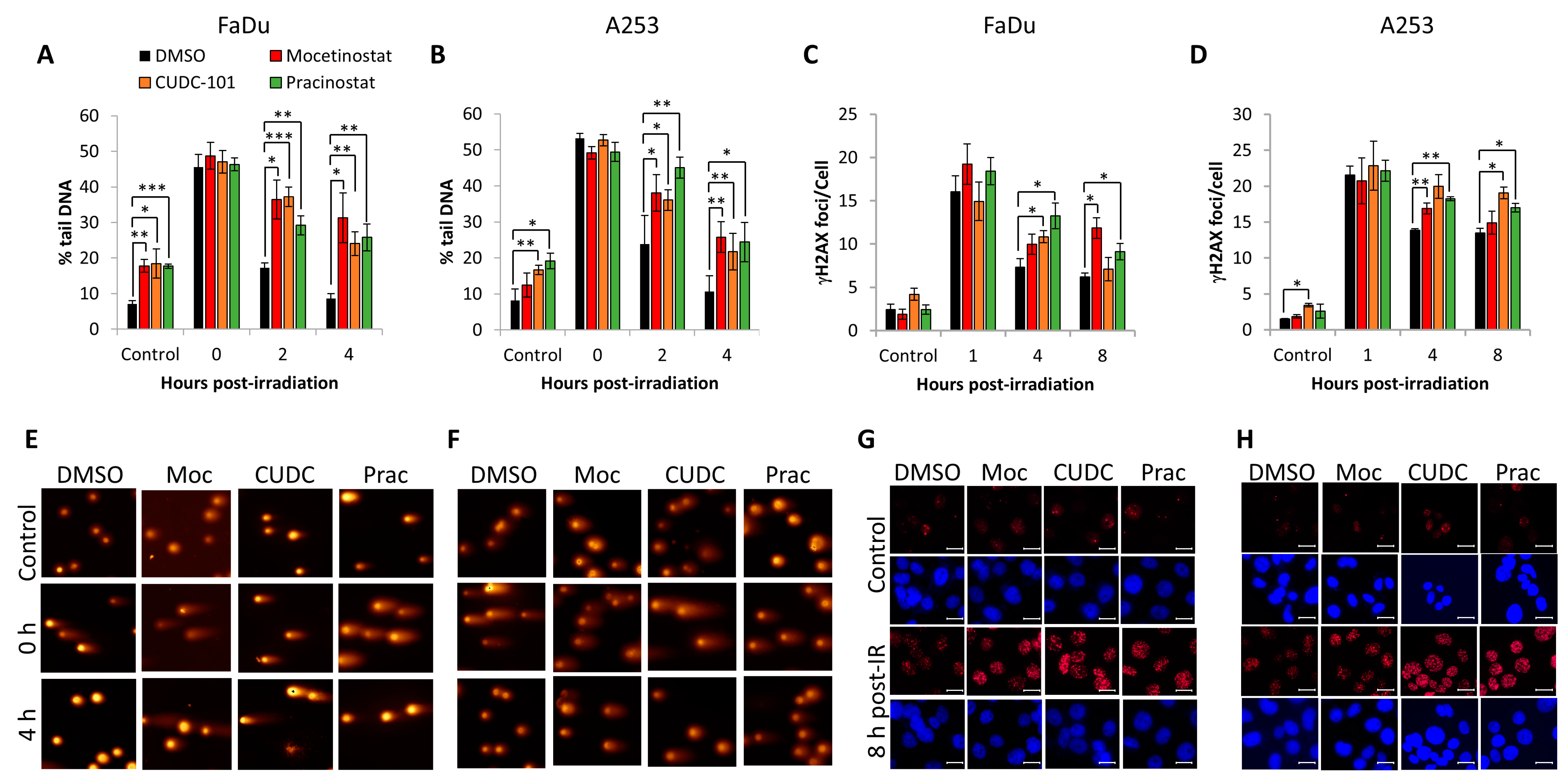 Cancers 16 04108 g005