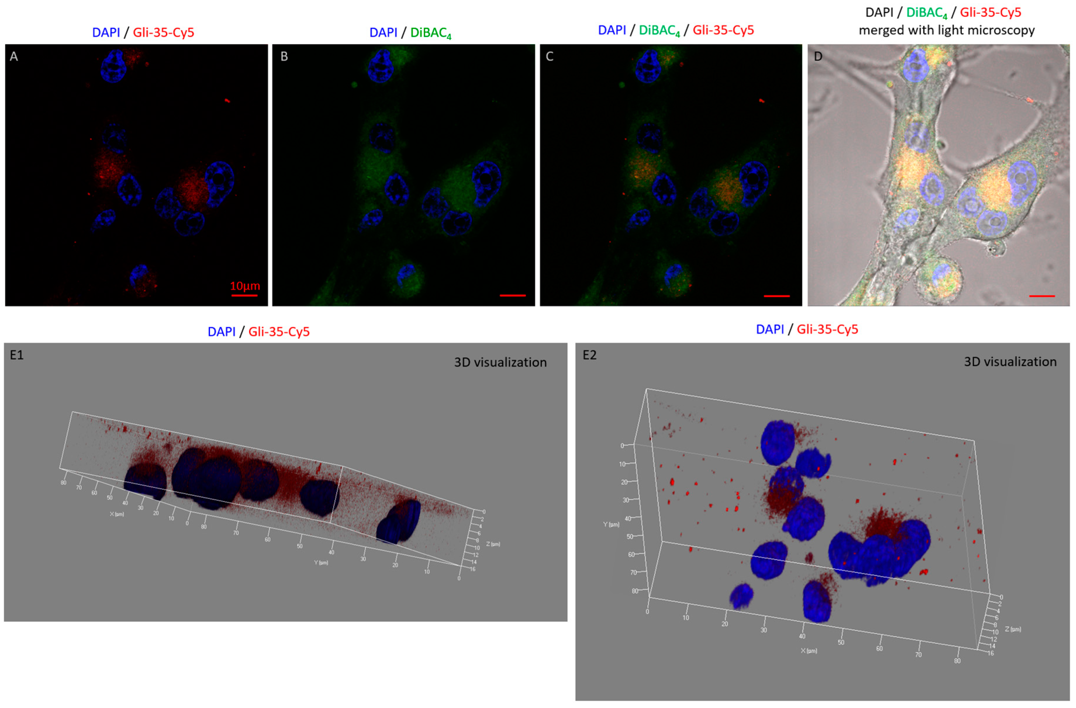 Cancers 16 04111 g007