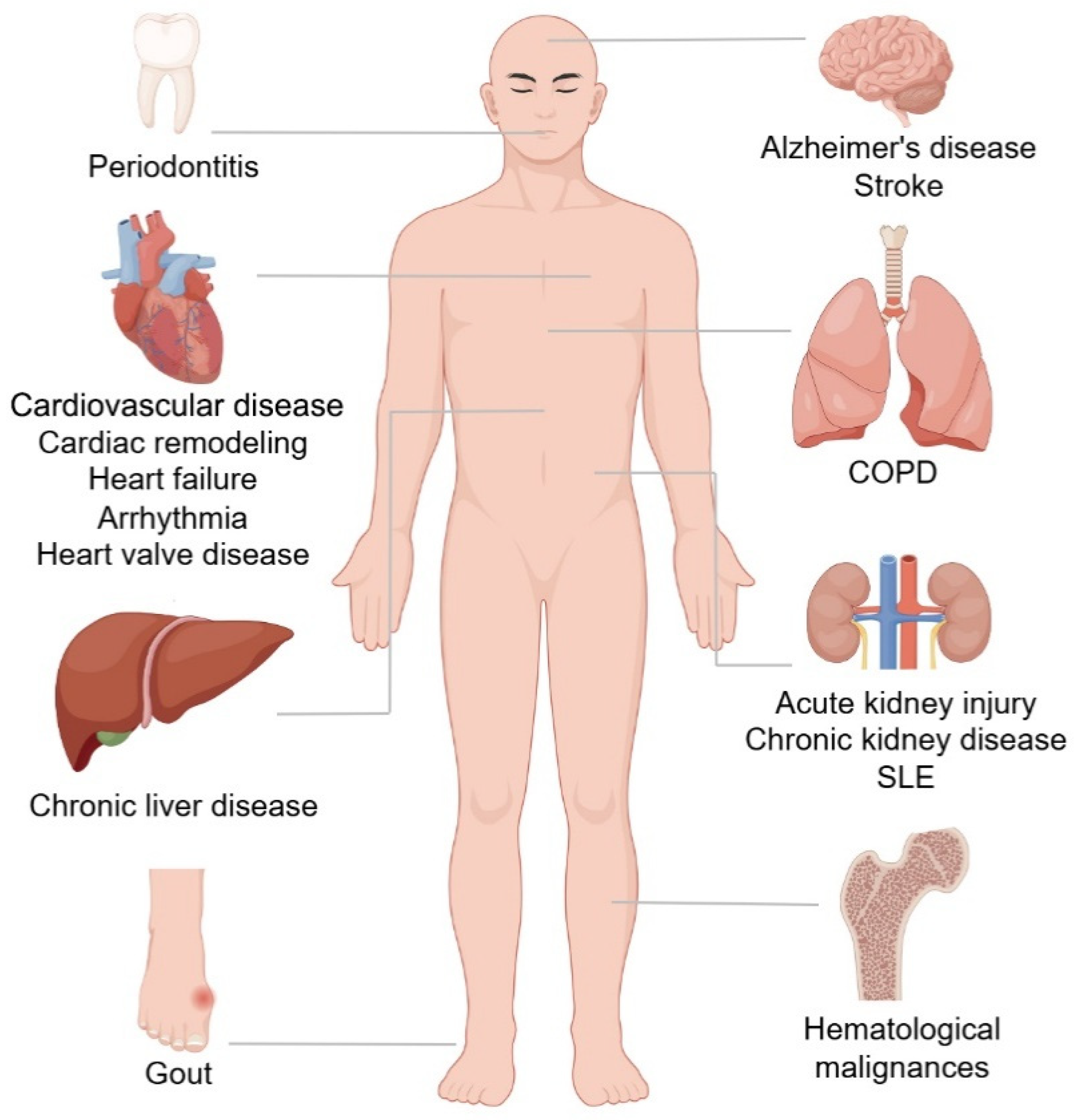 Cancers 16 04118 g002