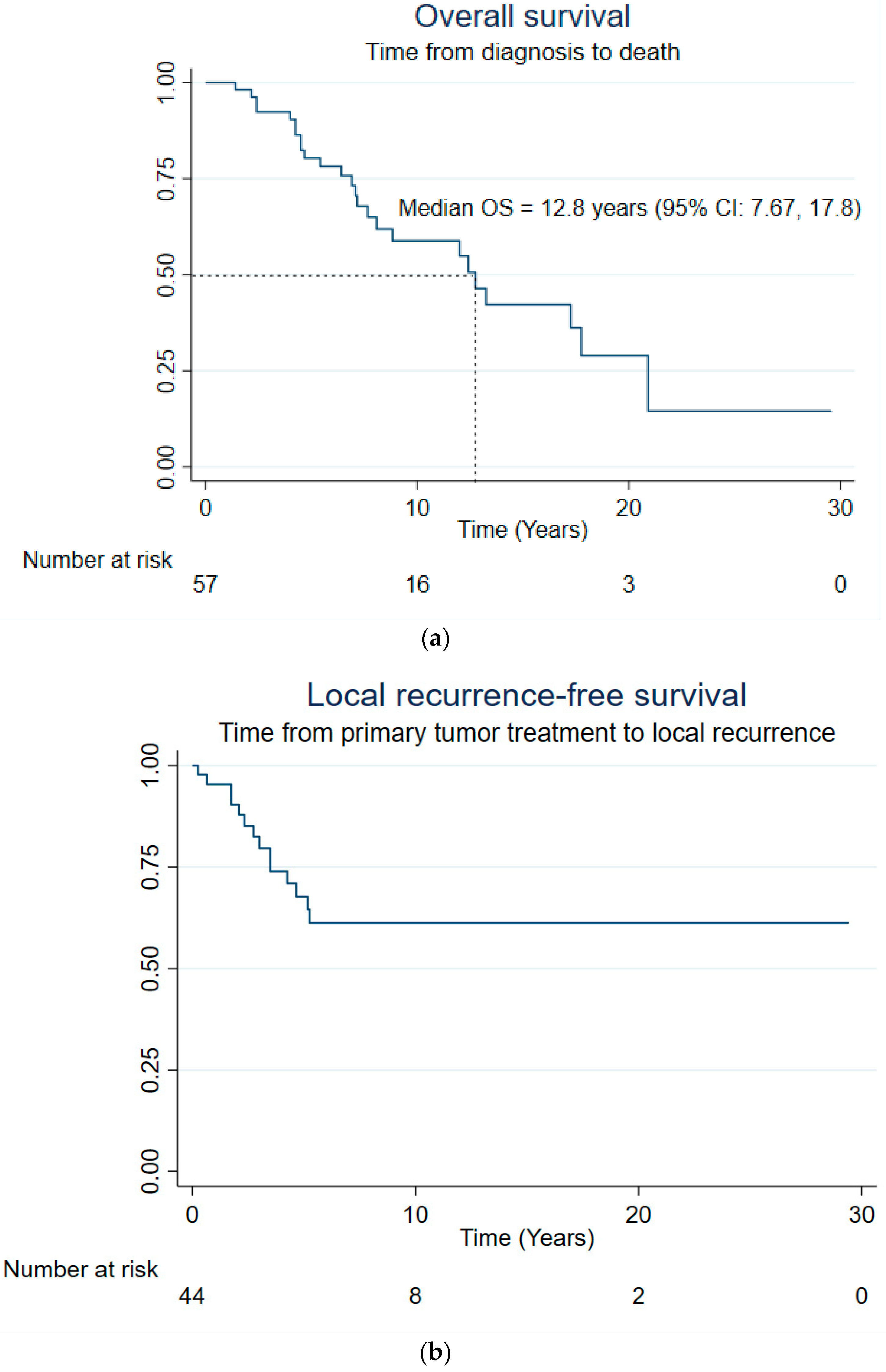 Cancers 16 04119 g001a