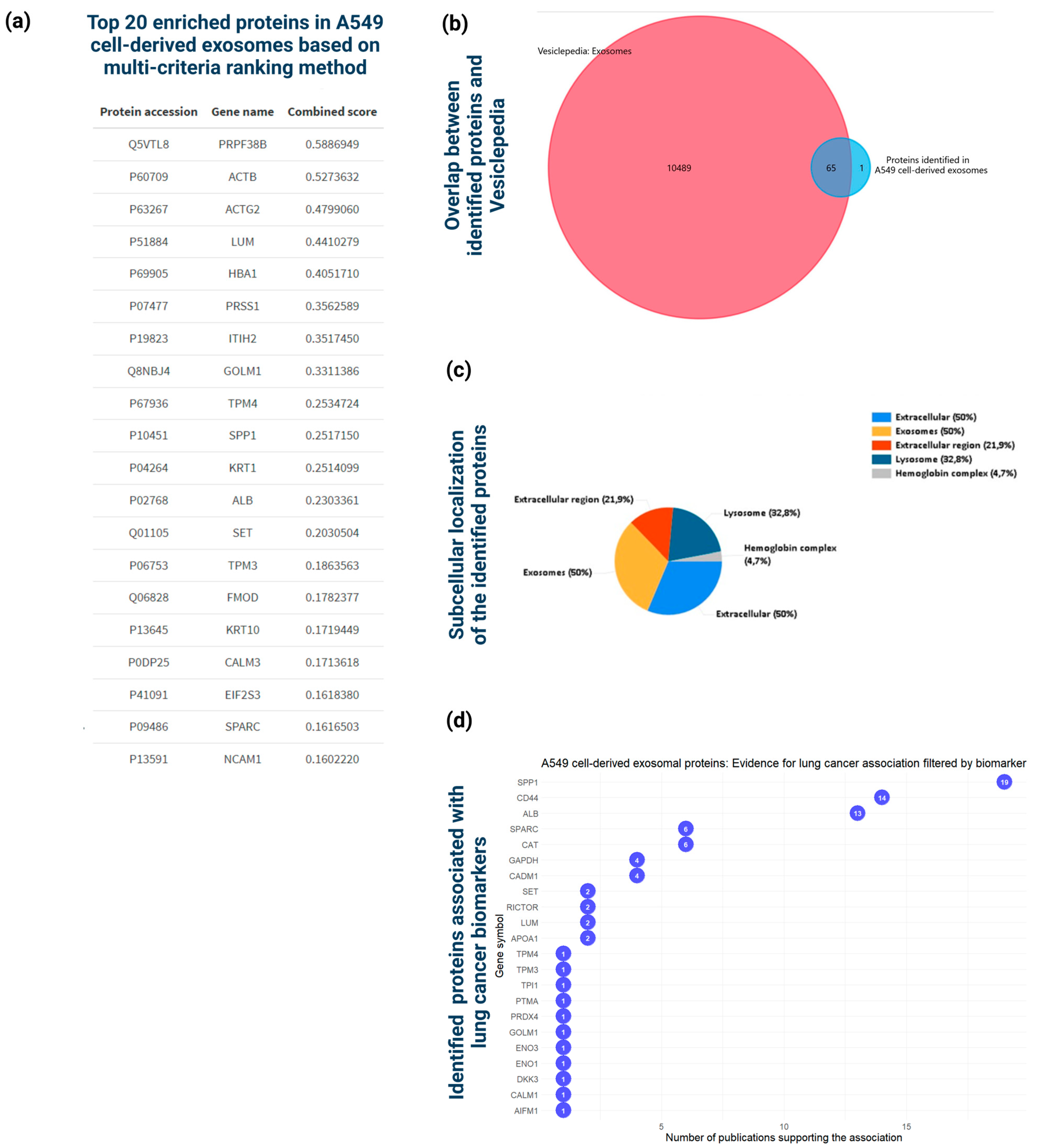 Cancers 16 04123 g003