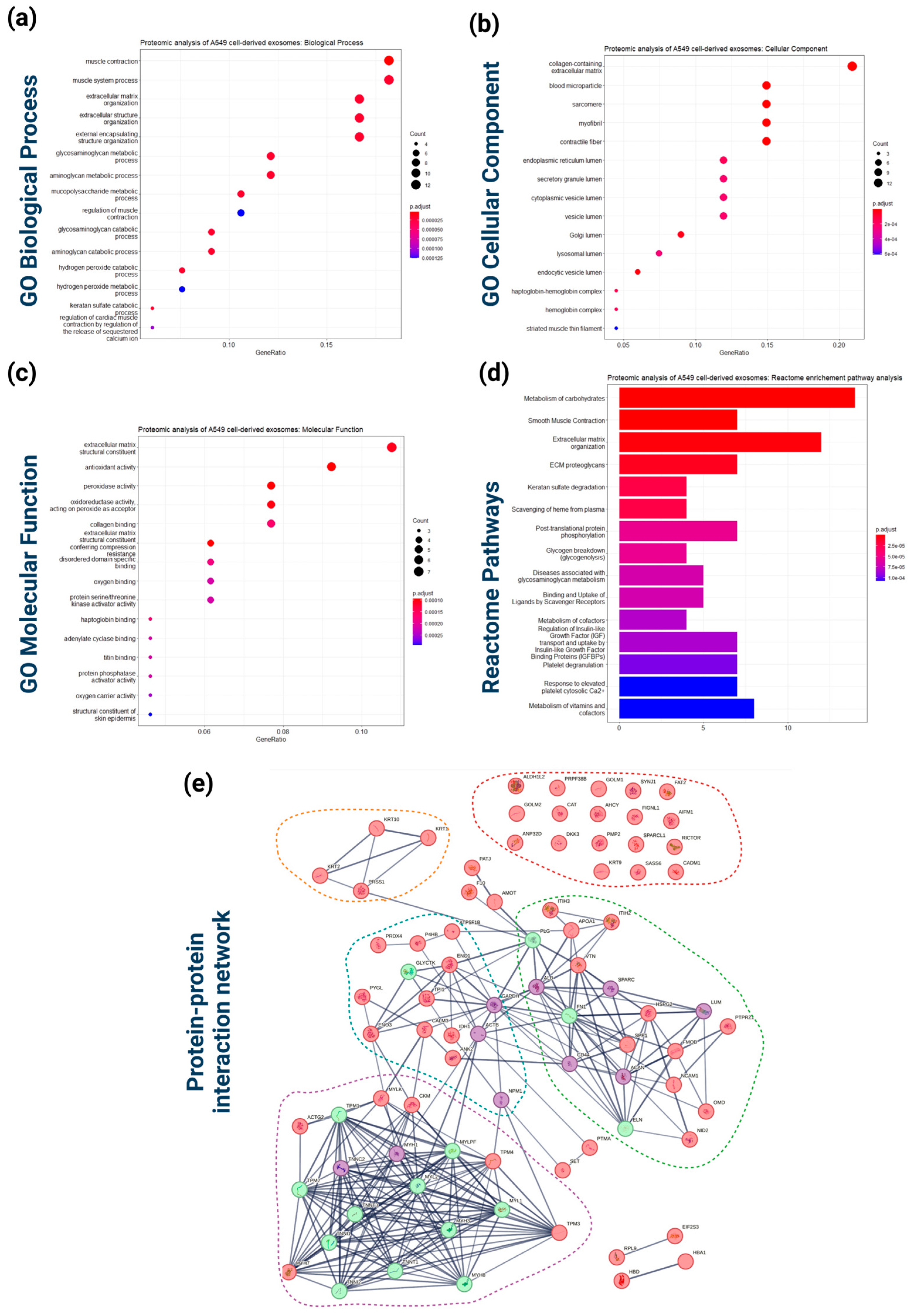 Cancers 16 04123 g004