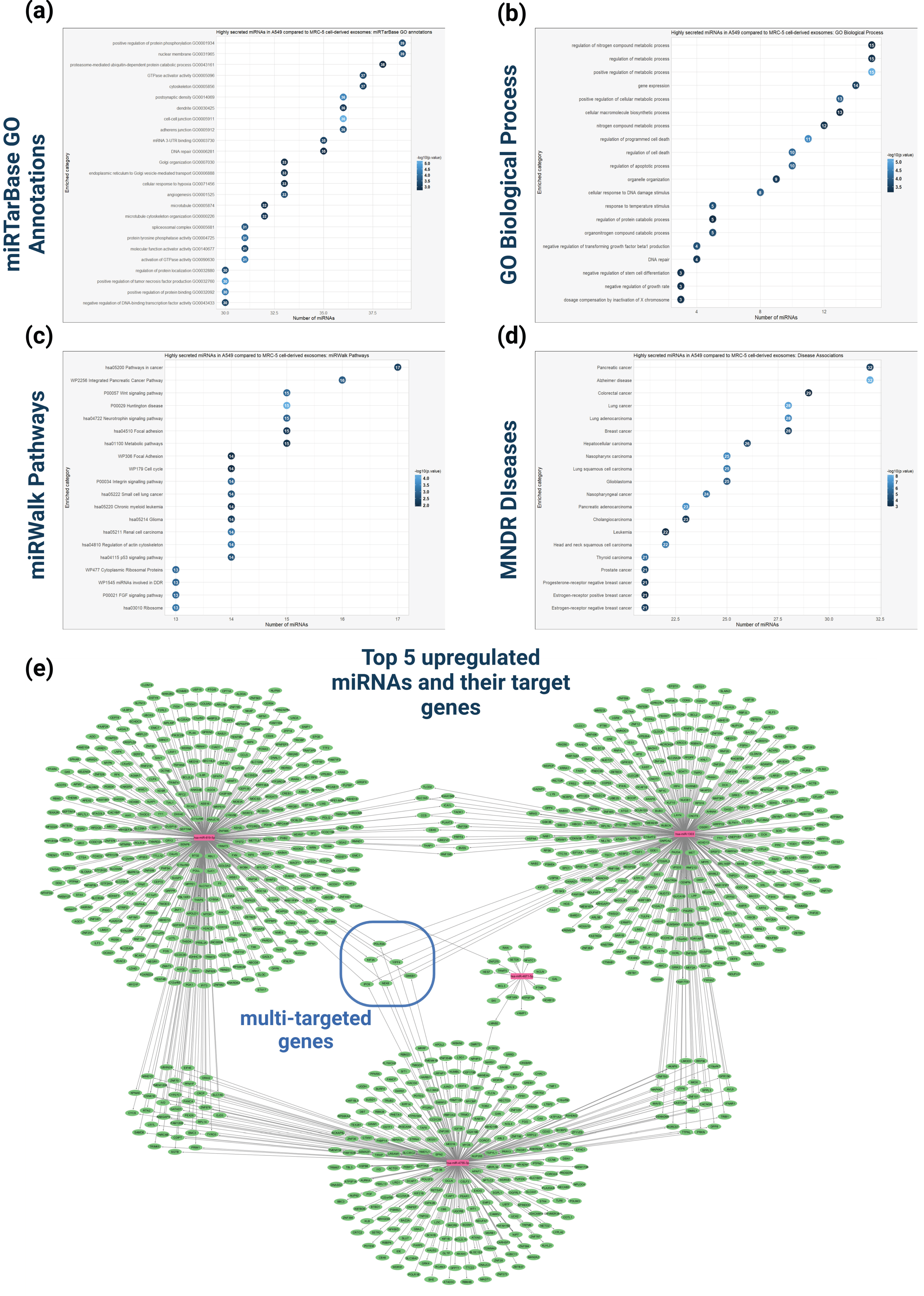 Cancers 16 04123 g008