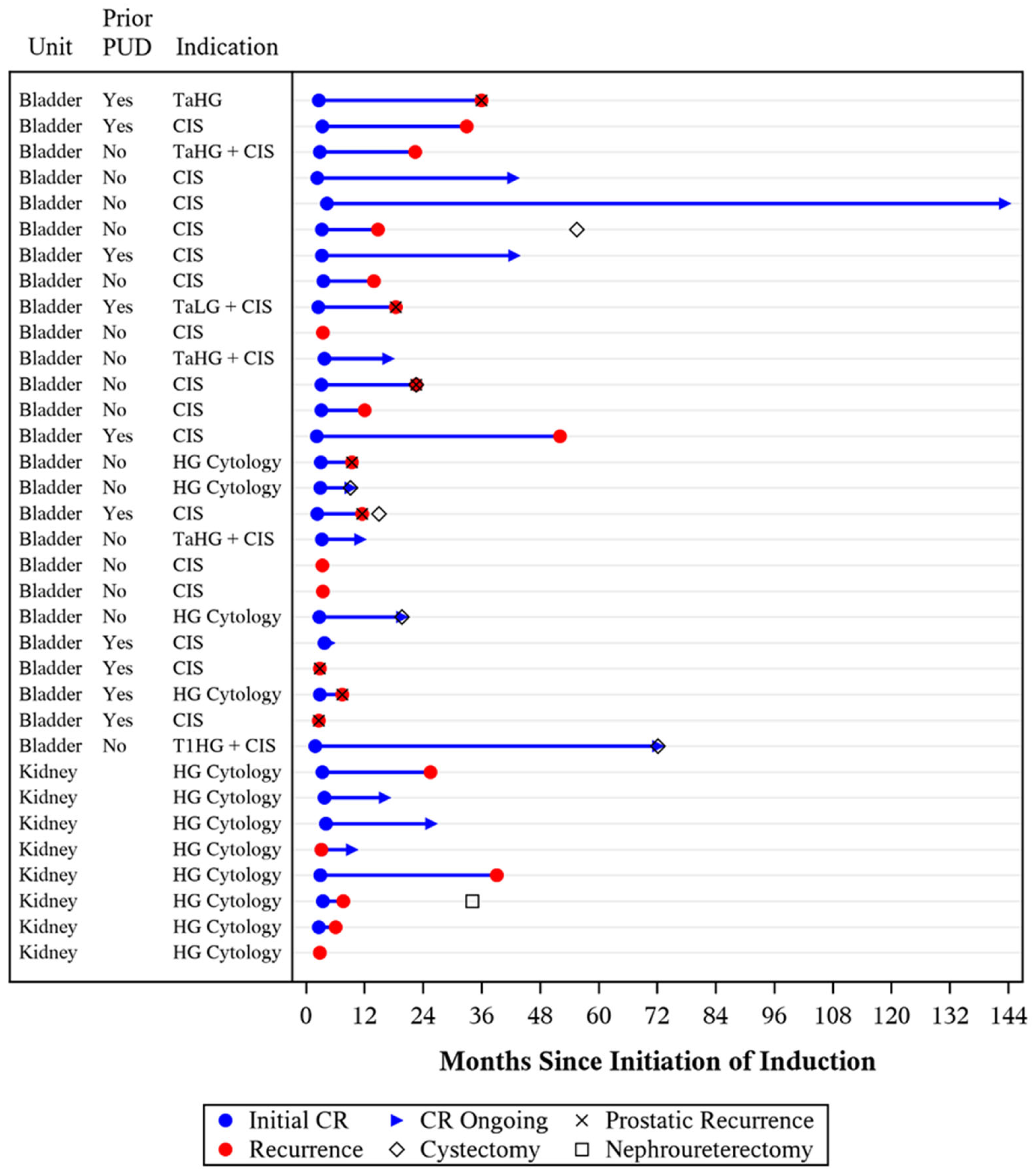 Cancers 16 04126 g002