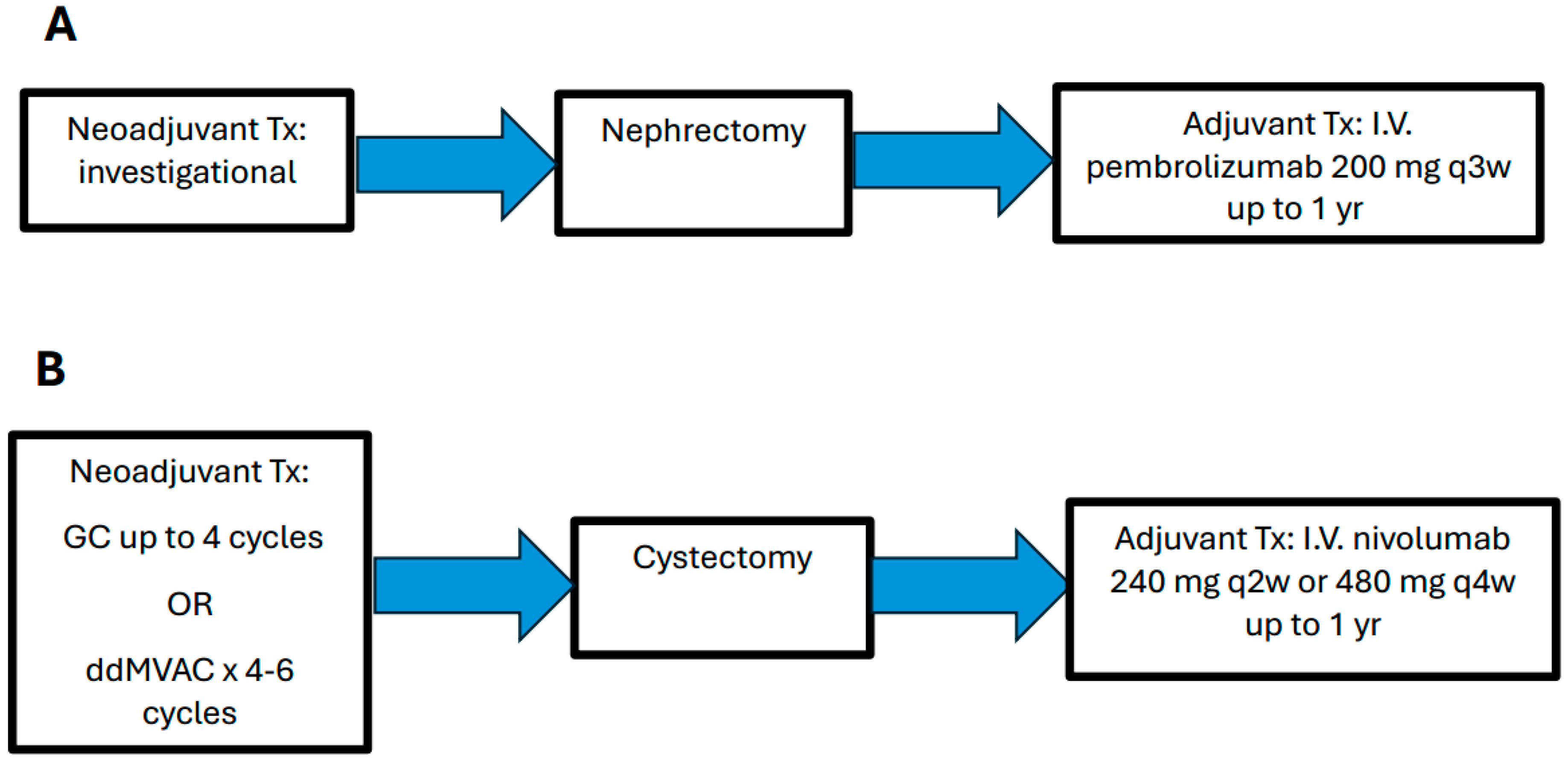 Cancers 16 04127 g002