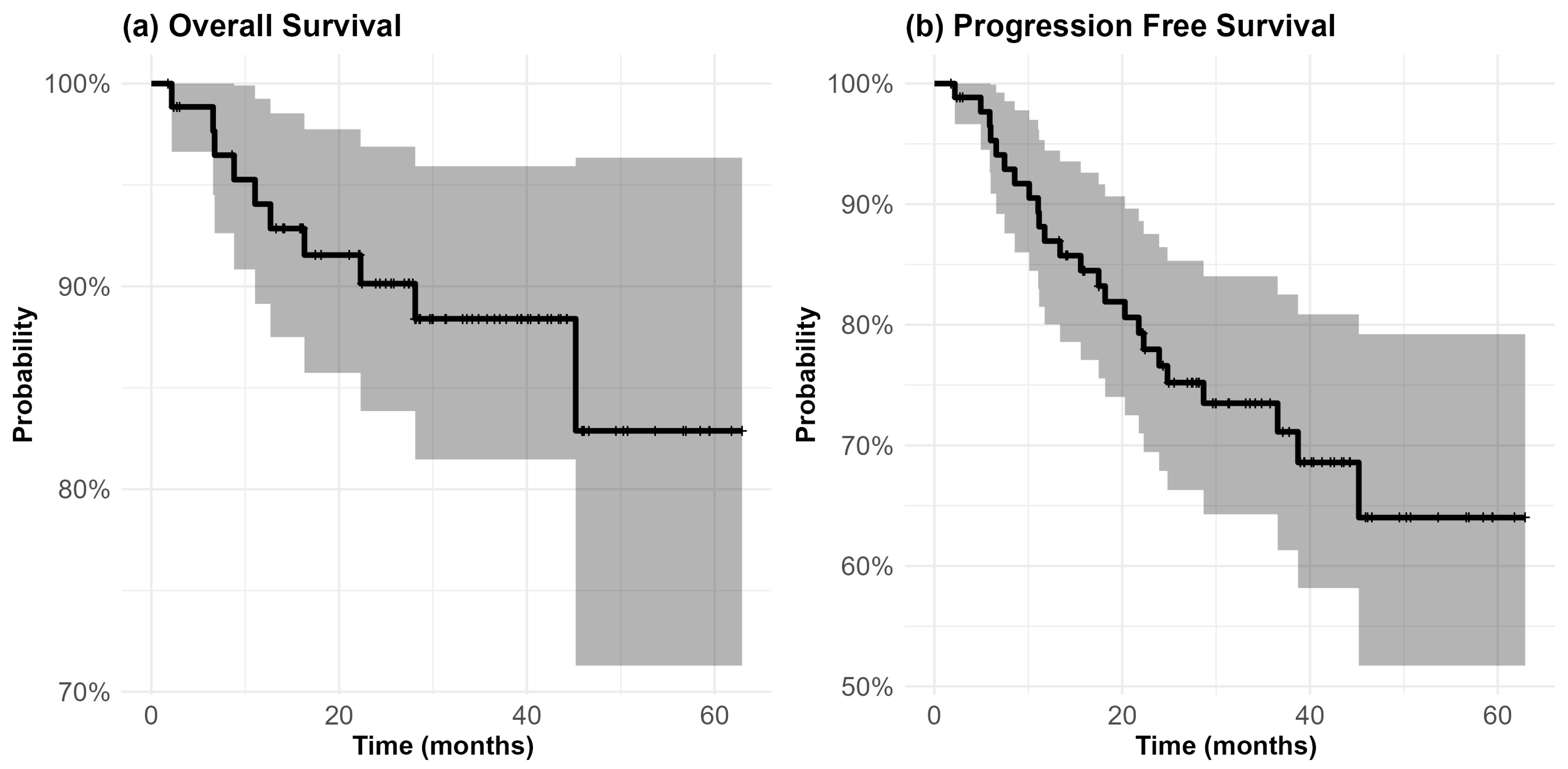 Cancers 16 04142 g001