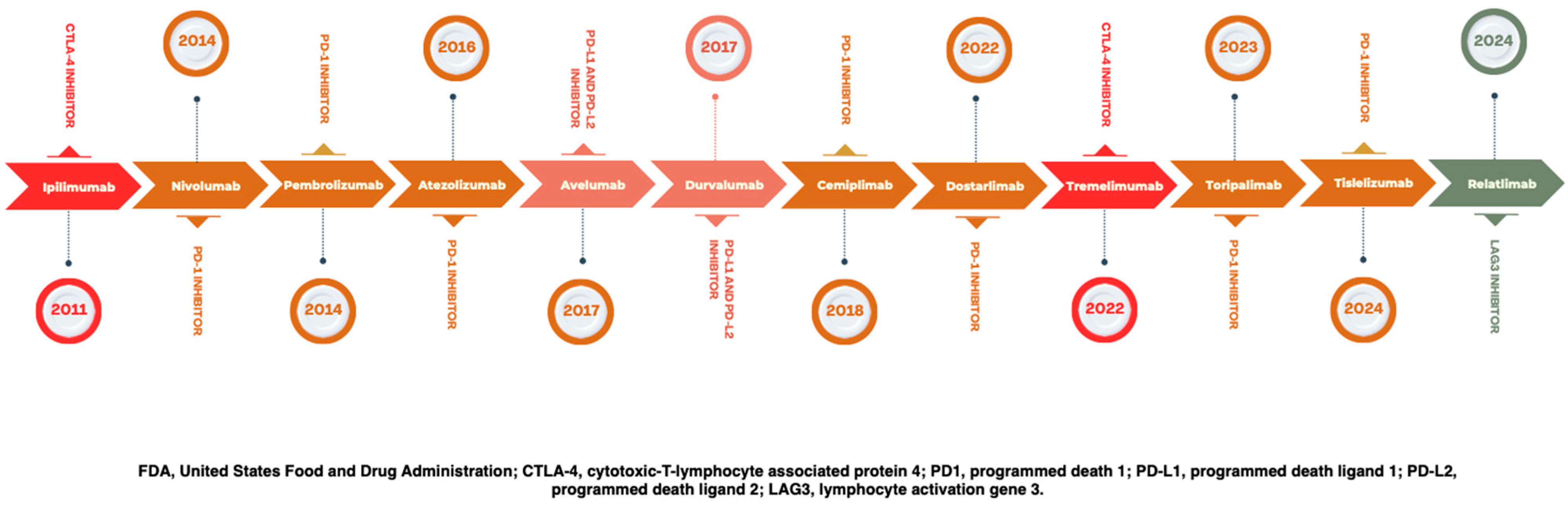Cancers 16 04148 g001