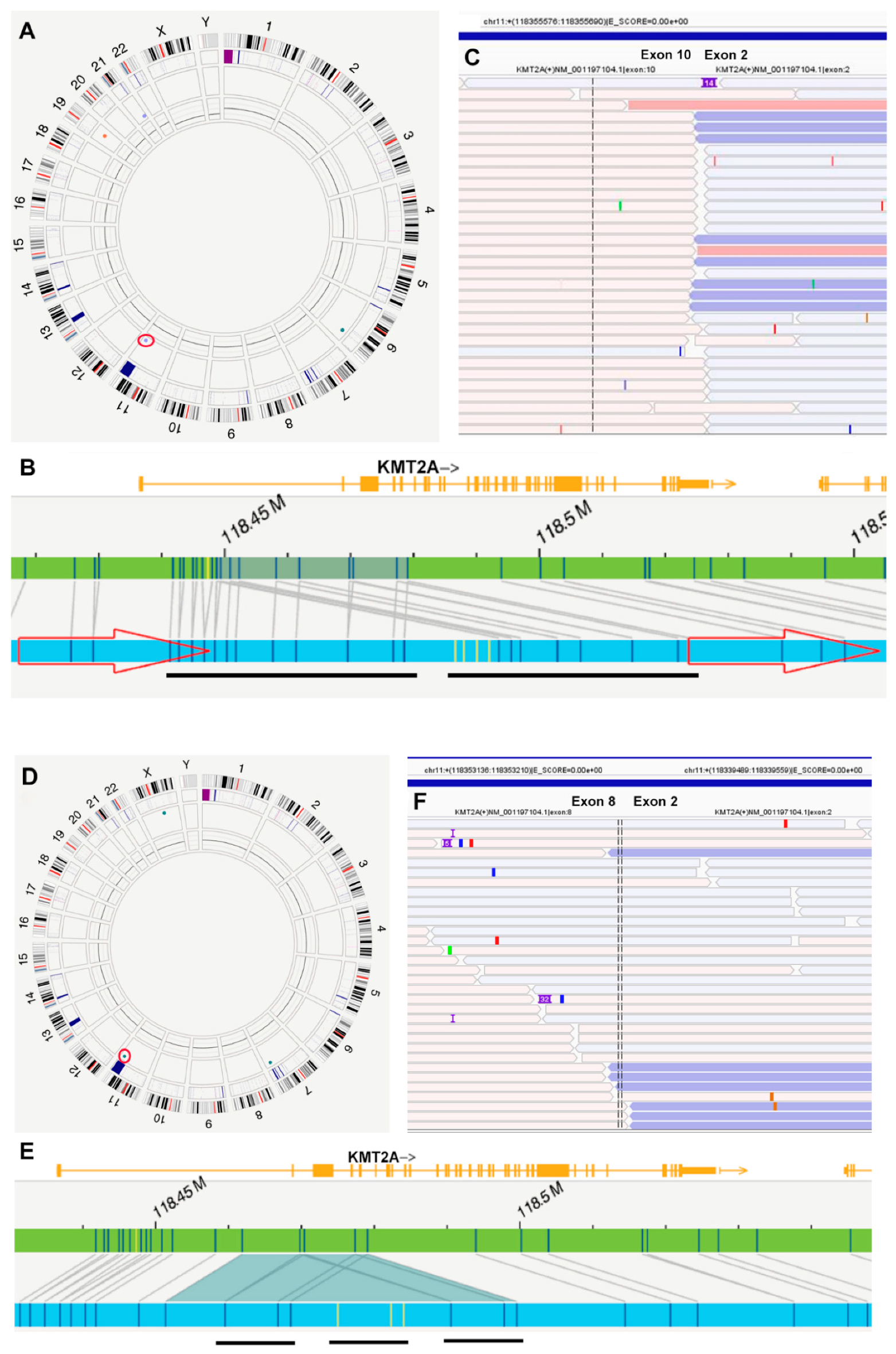 Cancers 16 04193 g001